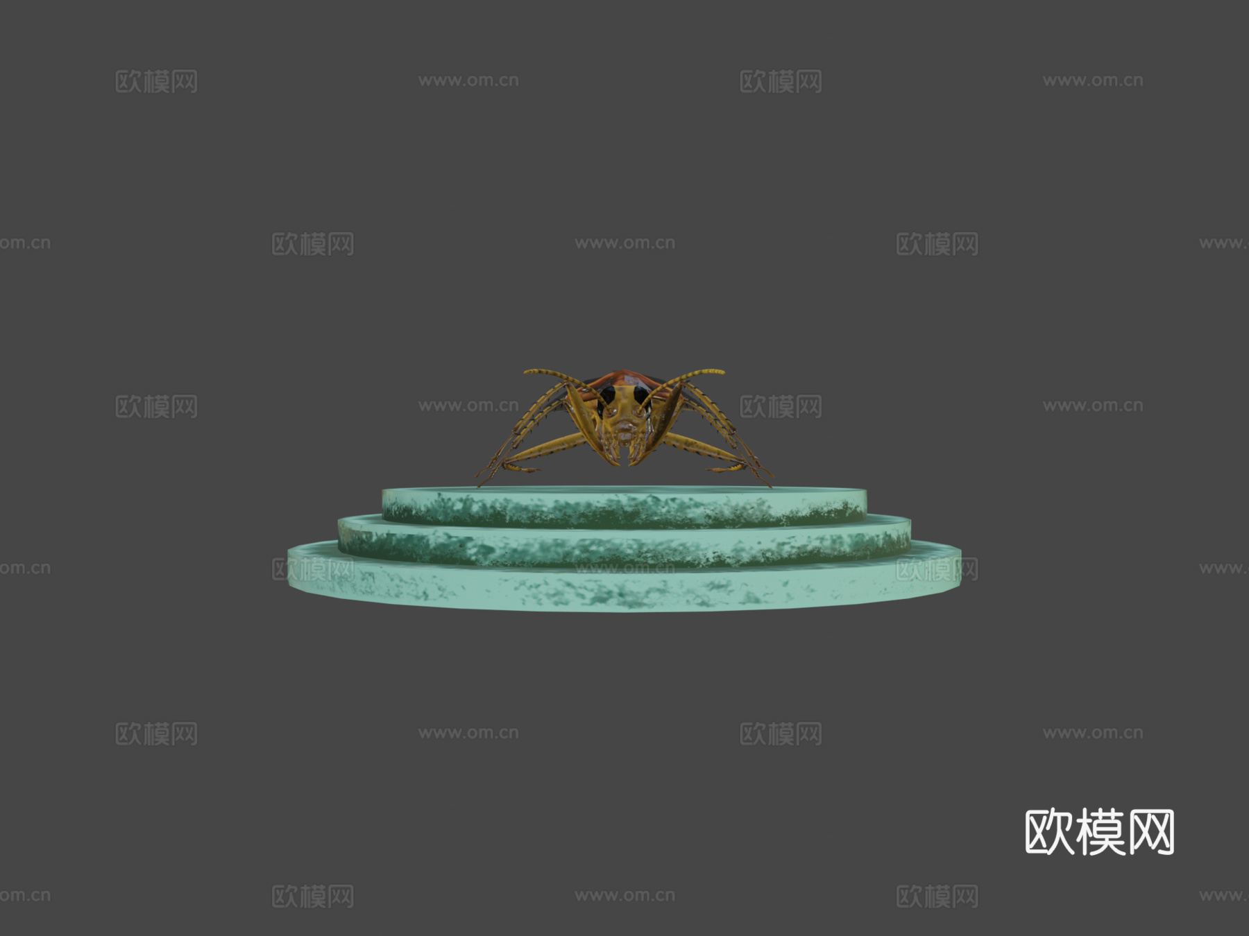 蟑螂3d模型下载（渲染图6）