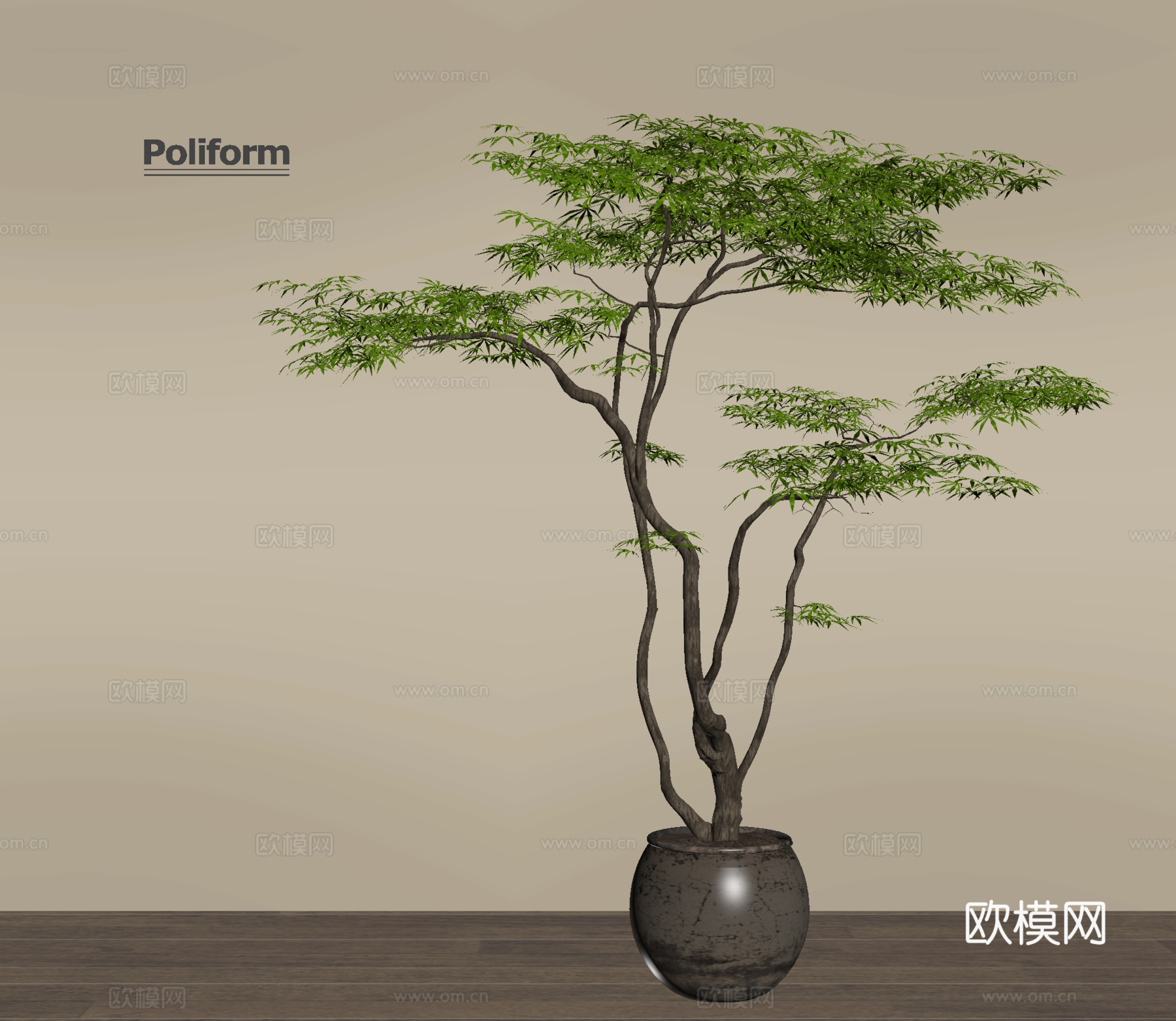 现代盆栽 绿植 盆景 陶罐su模型