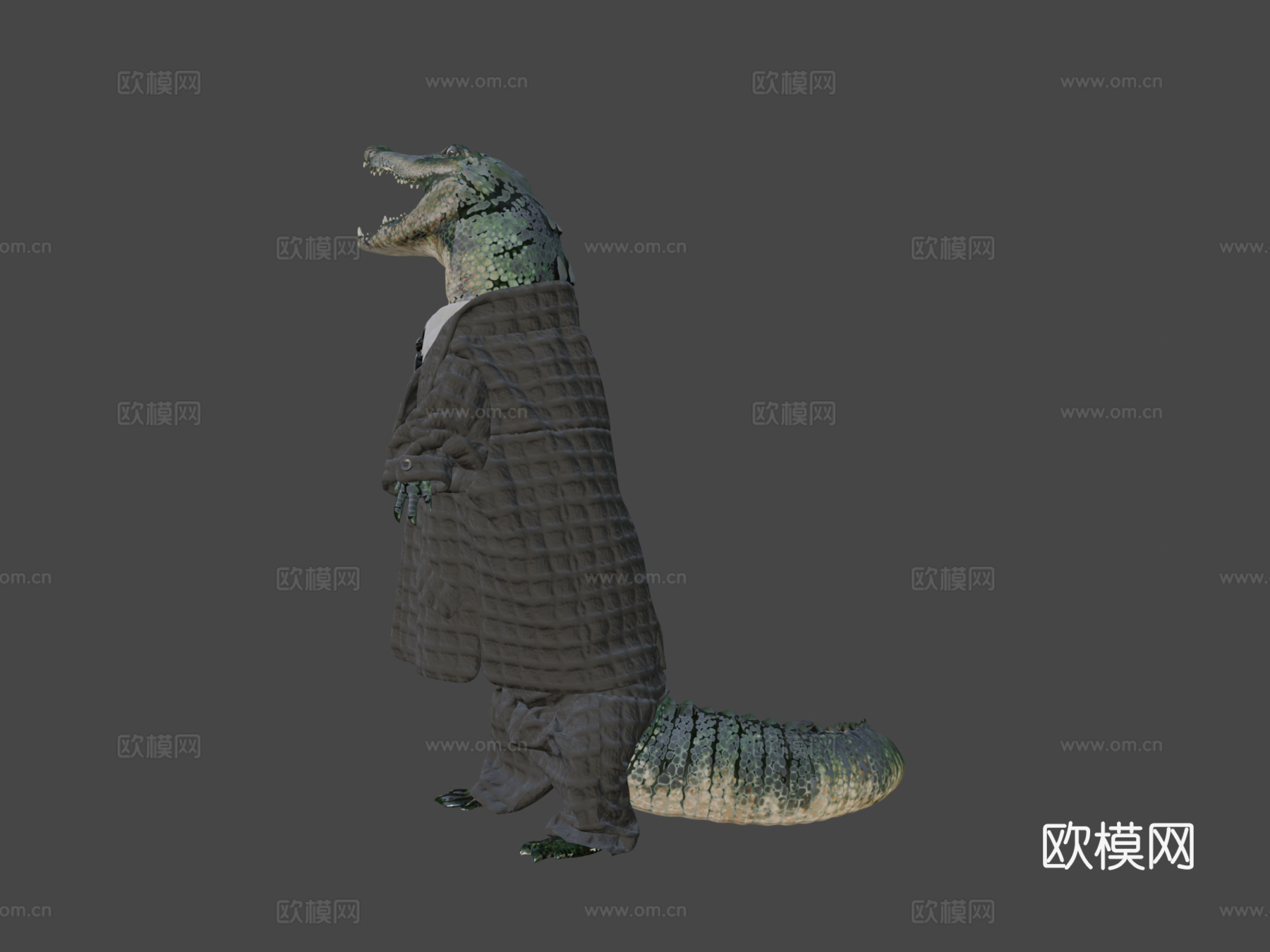 美洲鳄X套装3d模型下载（渲染图8）