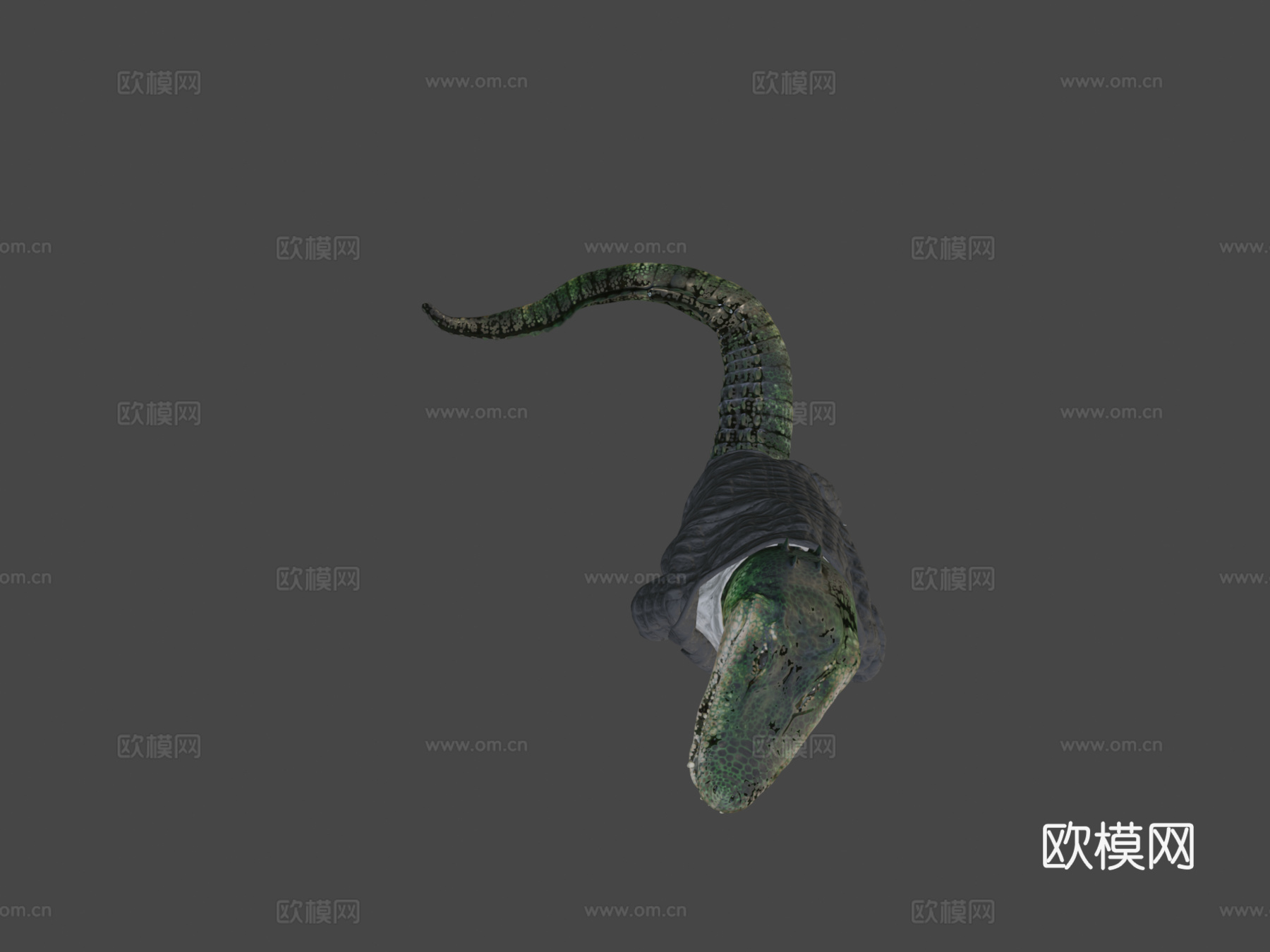 美洲鳄X套装3d模型下载（渲染图5）