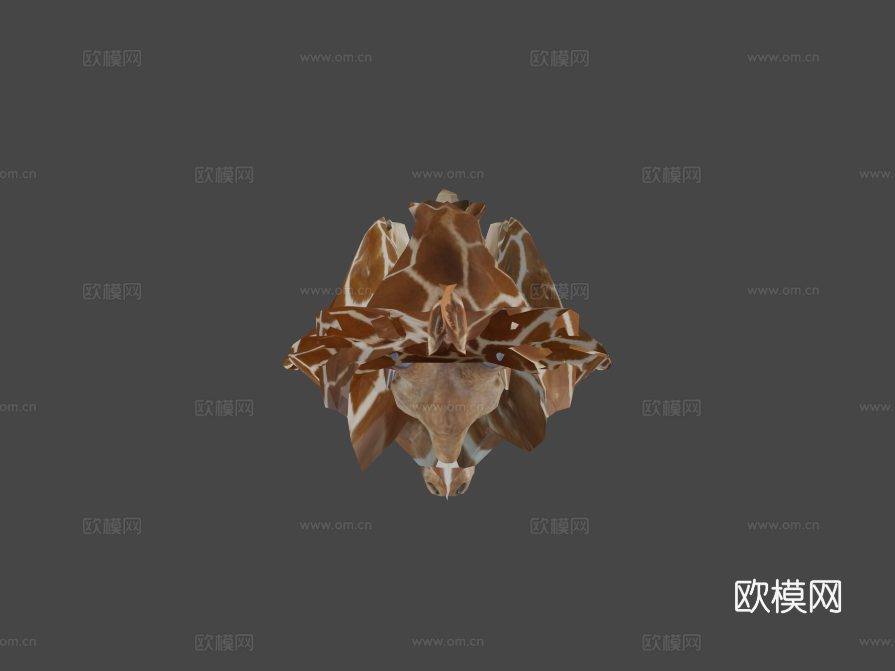 动物界-长颈鹿3d模型下载（渲染图5）