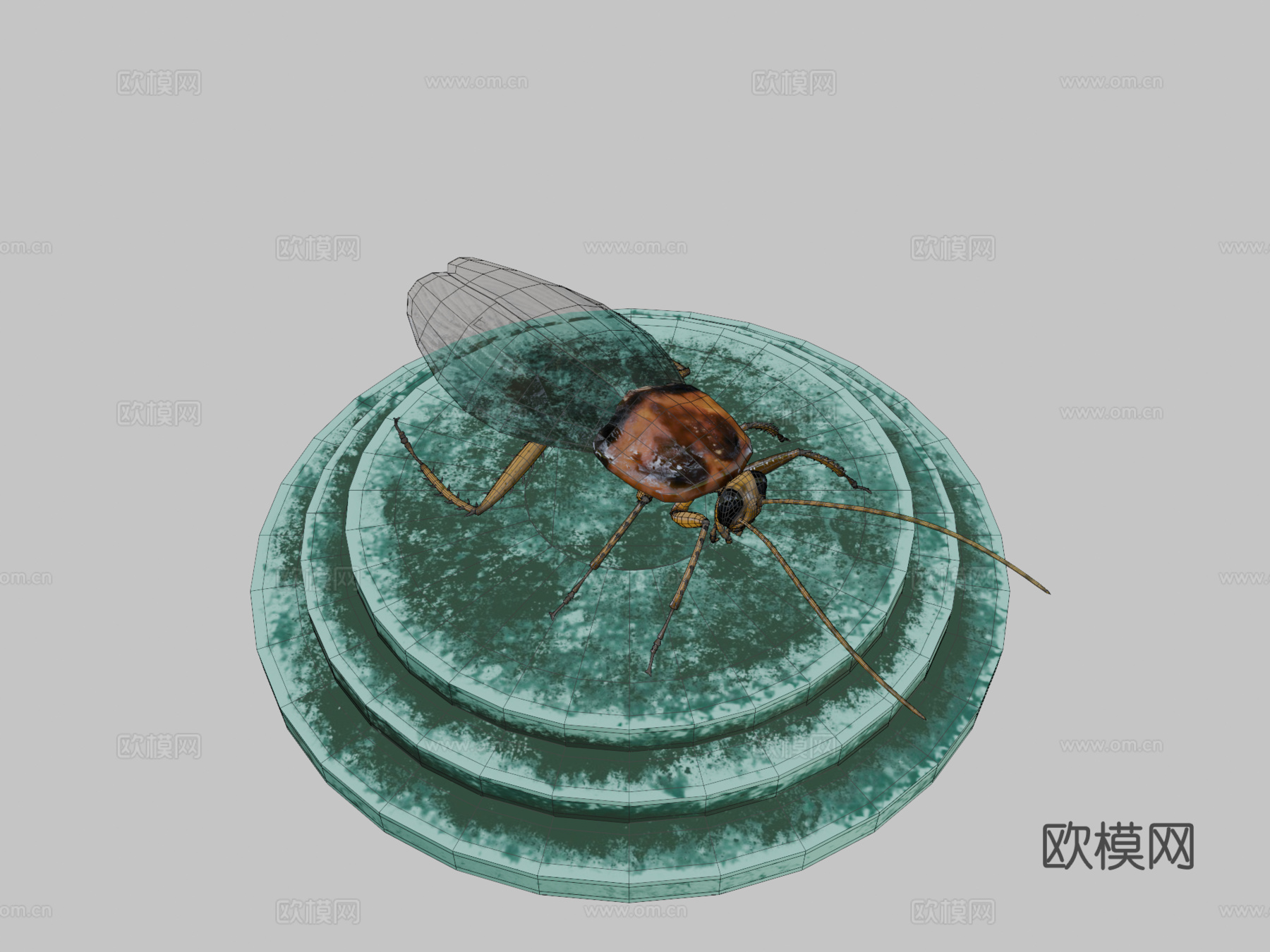 蟑螂3d模型下载（渲染图2）