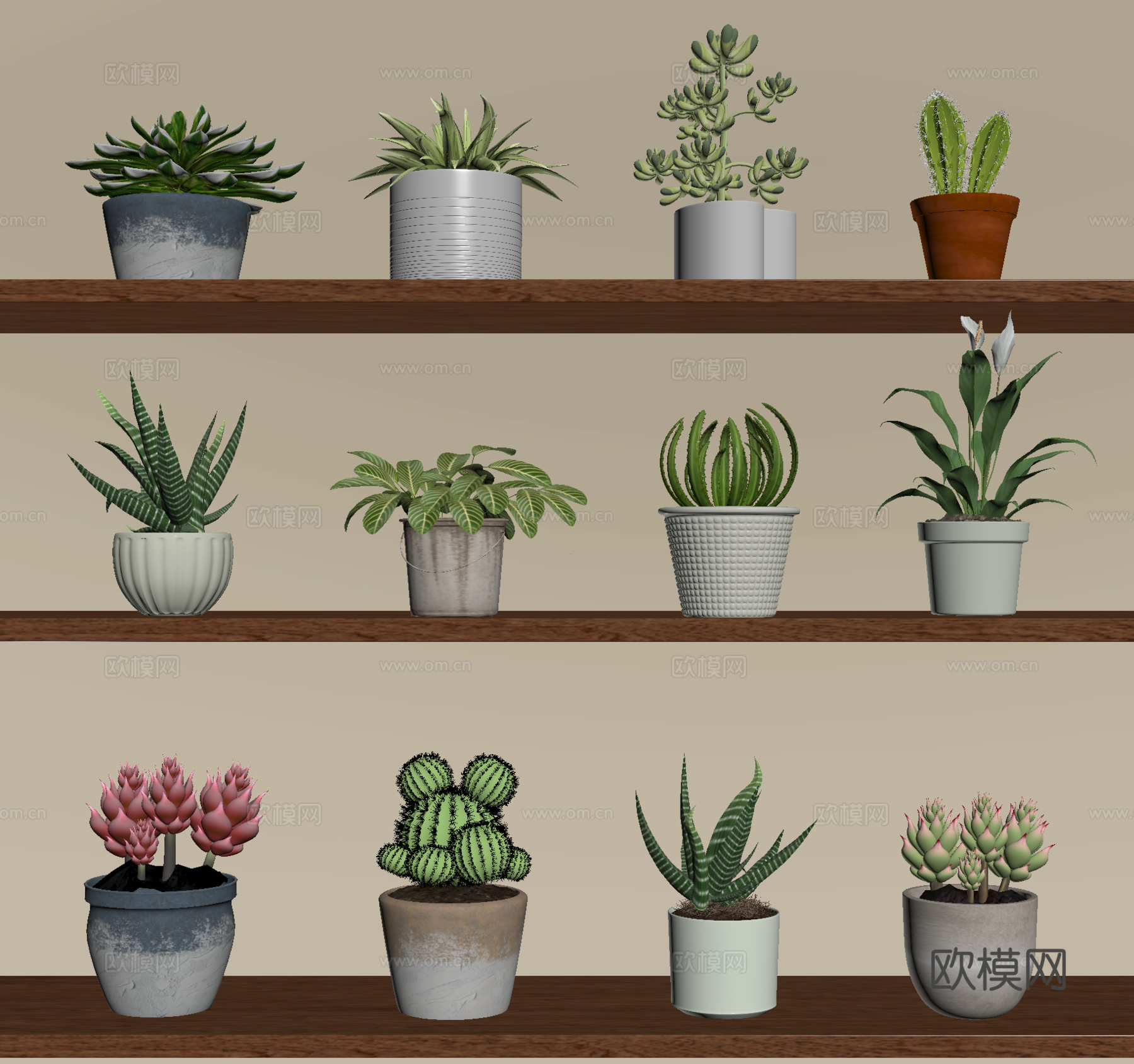 家居植物盆栽 绿植盆景su模型