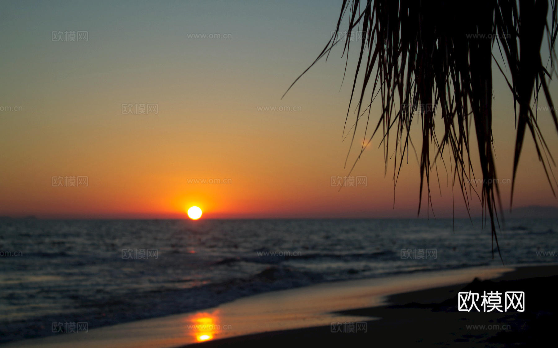 小区外景 环境 城市 都市外景 自然风景下载