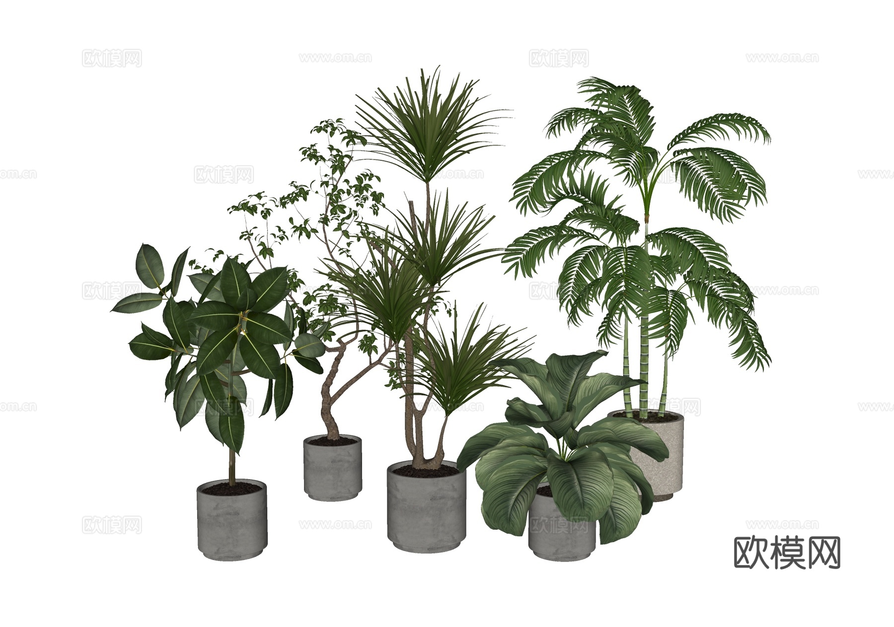 现代绿植盆栽su模型