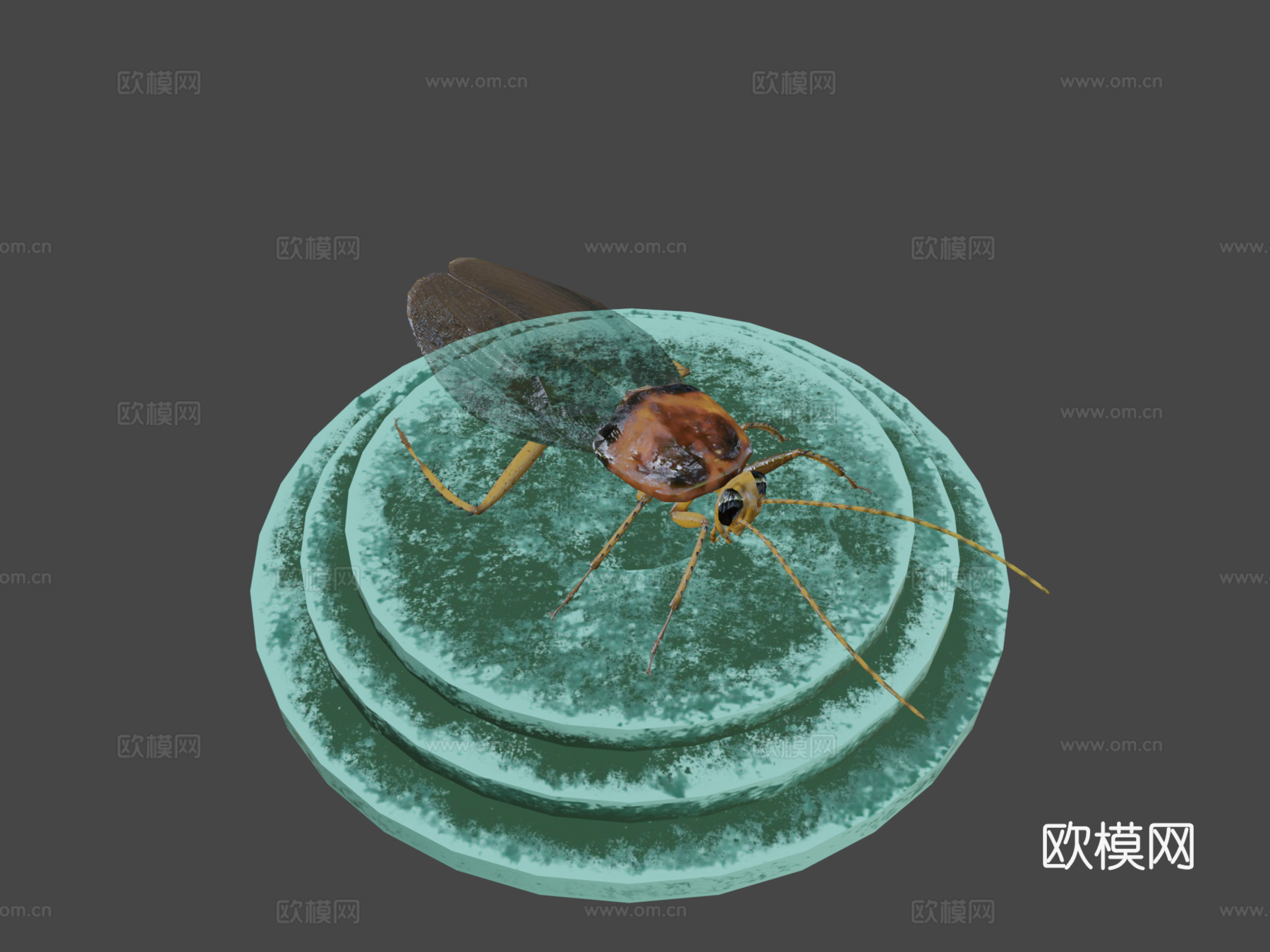 蟑螂3d模型下载（渲染图8）