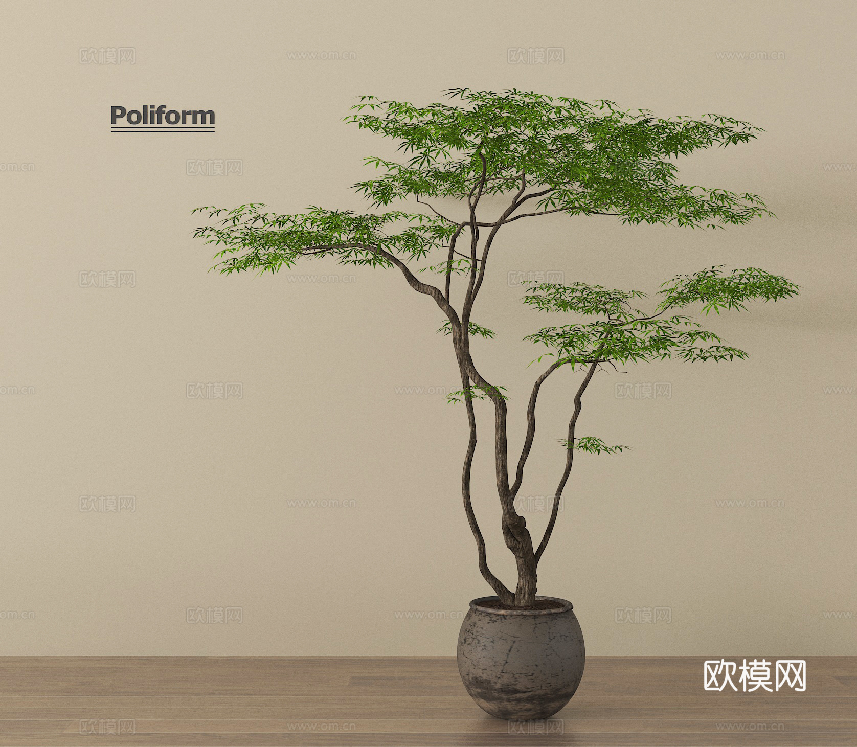 现代盆栽 绿植 盆景 陶罐su模型