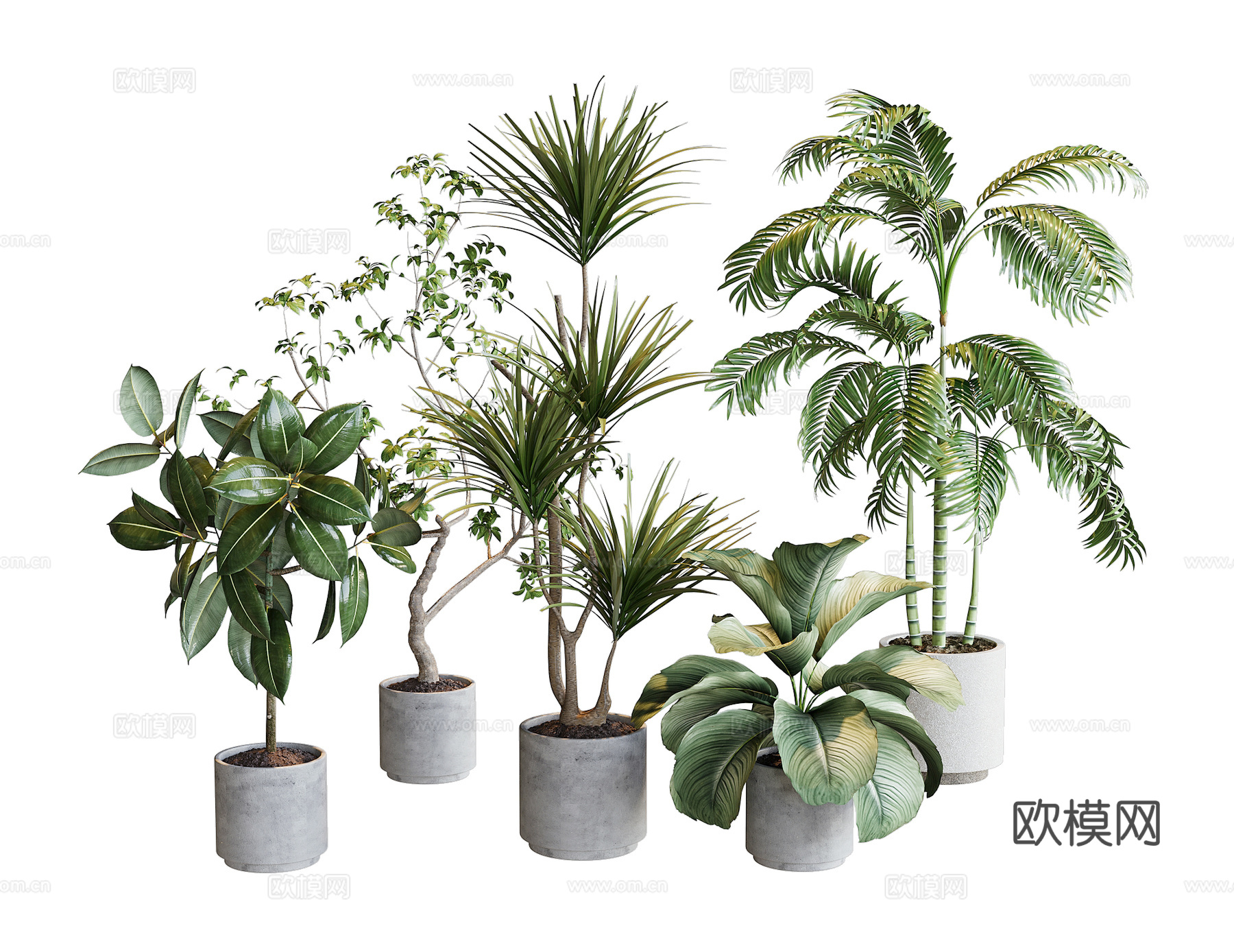 现代绿植盆栽su模型