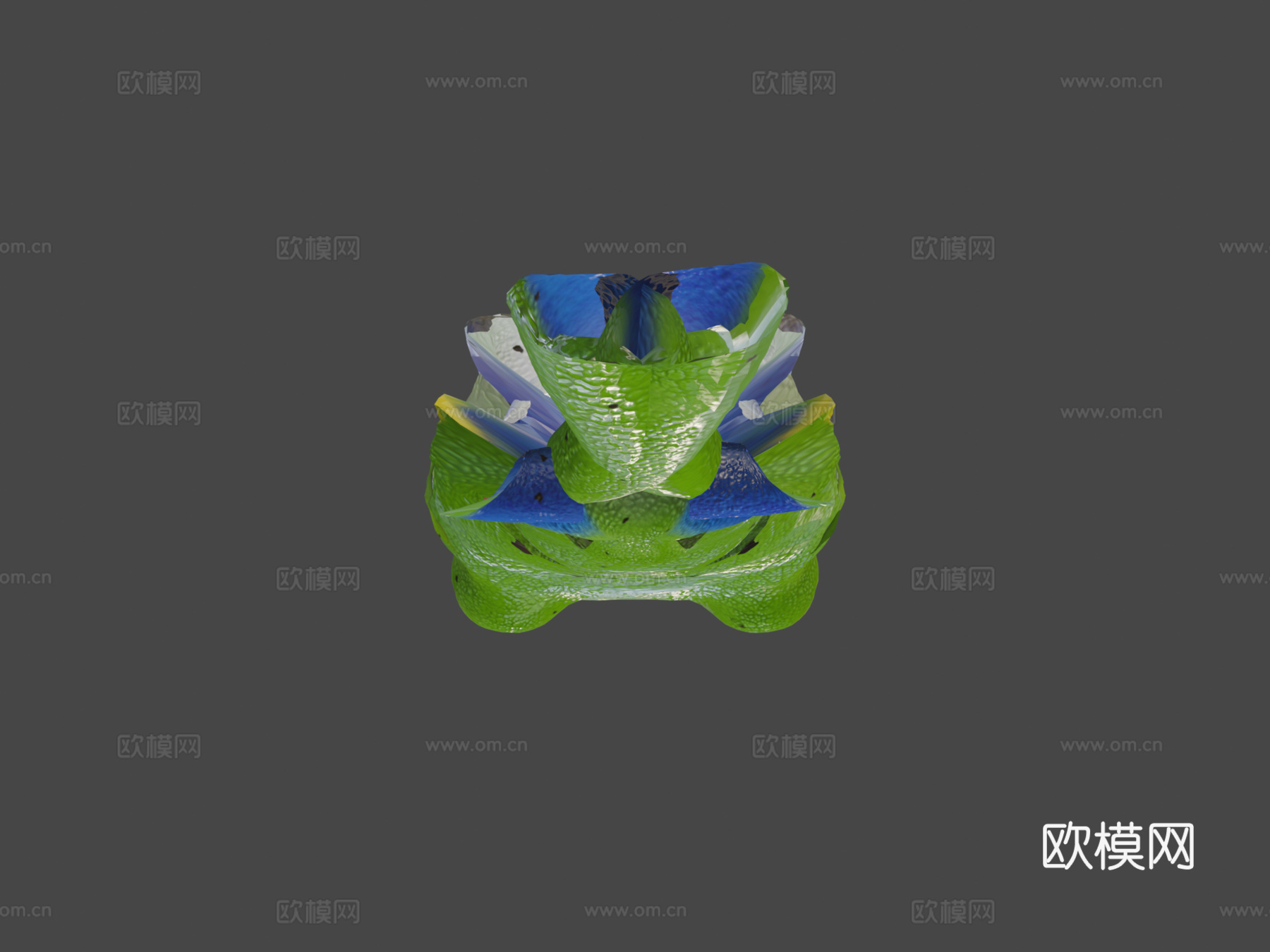 红眼树蛙3d模型下载（渲染图6）