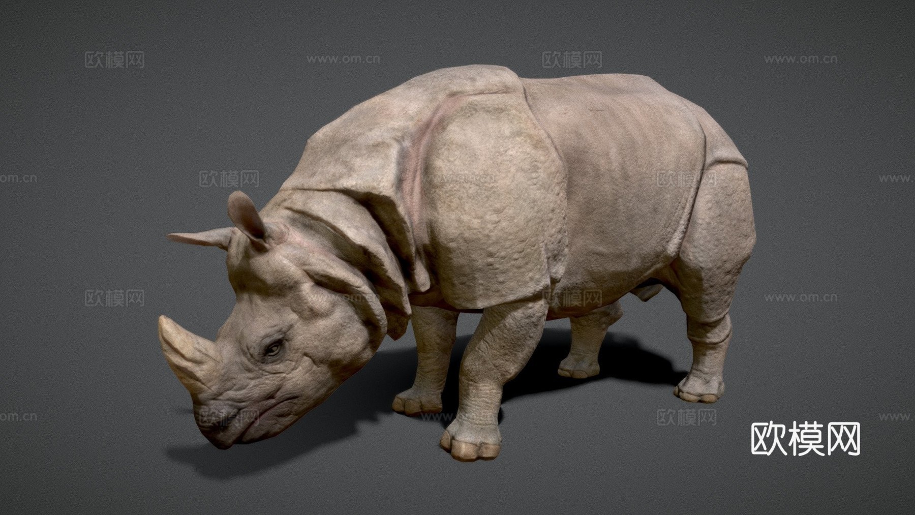 印度犀牛-游戏就绪-3d模型3d模型下载（渲染图1）