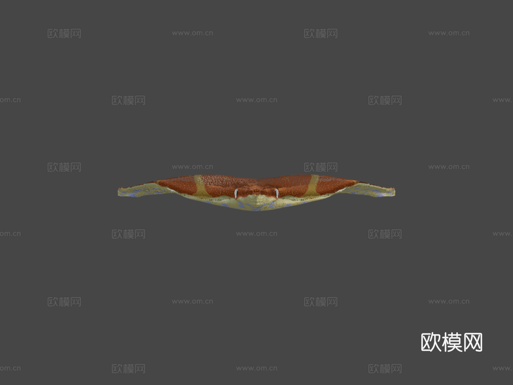 柠檬鳐3d模型下载（渲染图6）