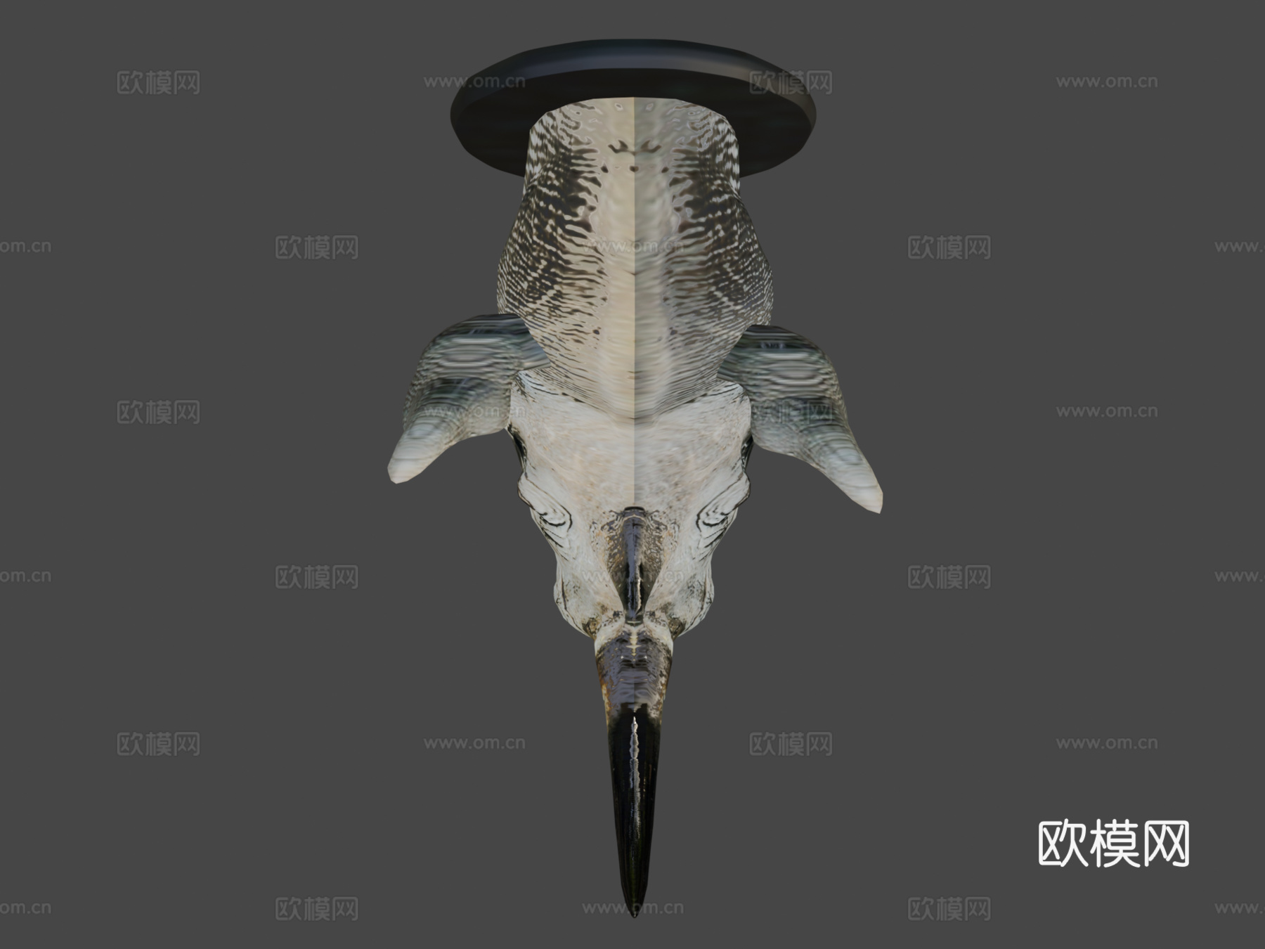 犀牛头部3d模型下载（渲染图6）