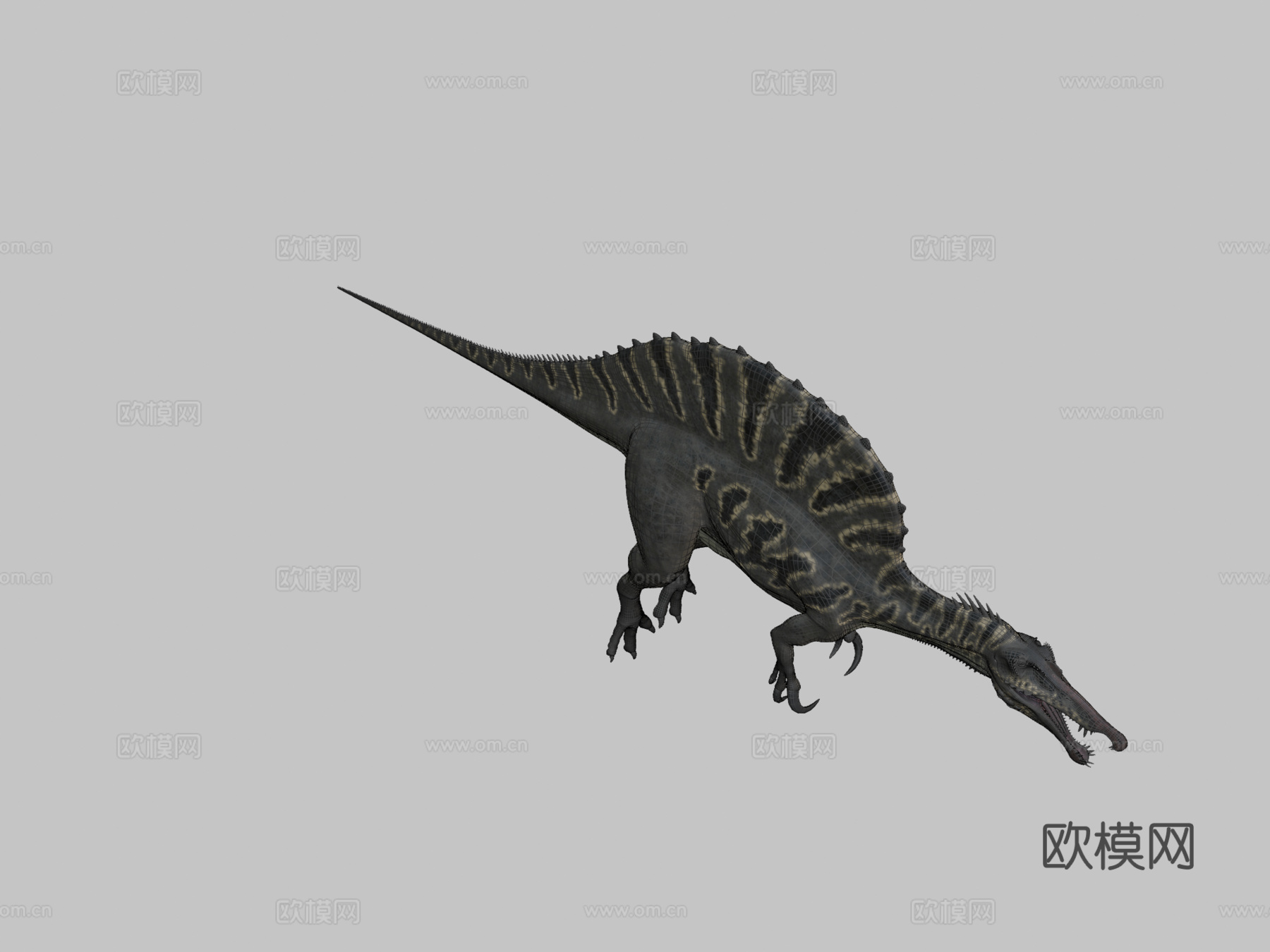 棘龙23d模型下载（渲染图2）