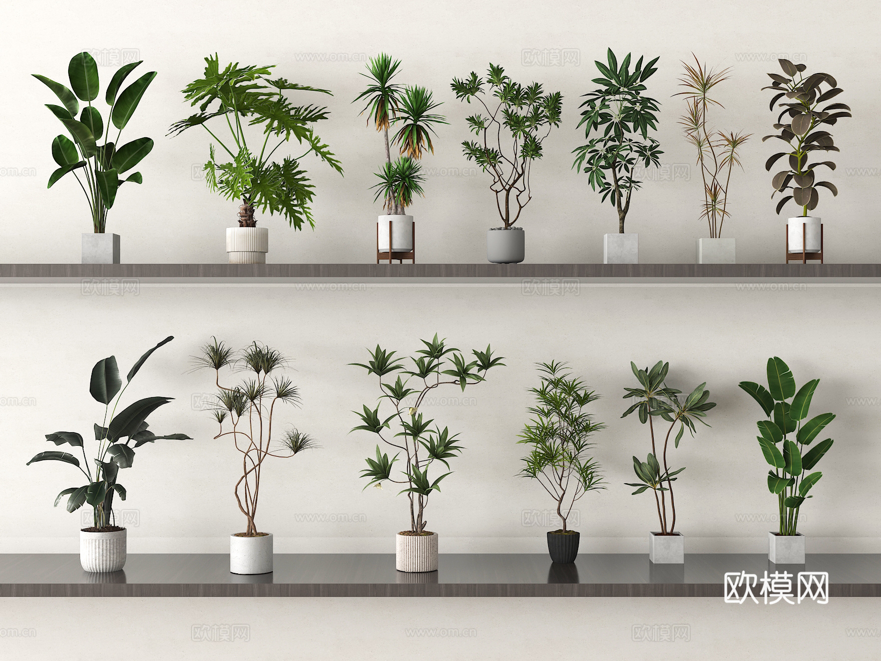 家居绿植组合 盆栽绿植 植物盆栽3d模型下载