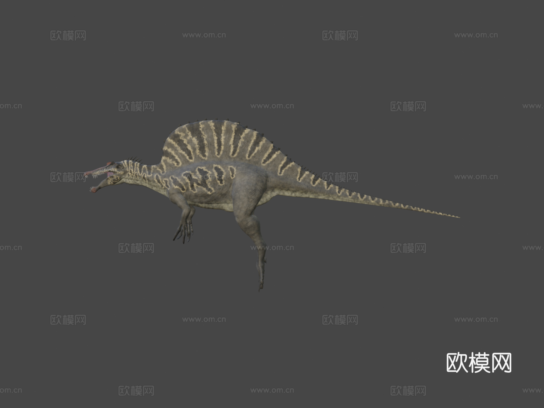棘龙23d模型下载（渲染图7）