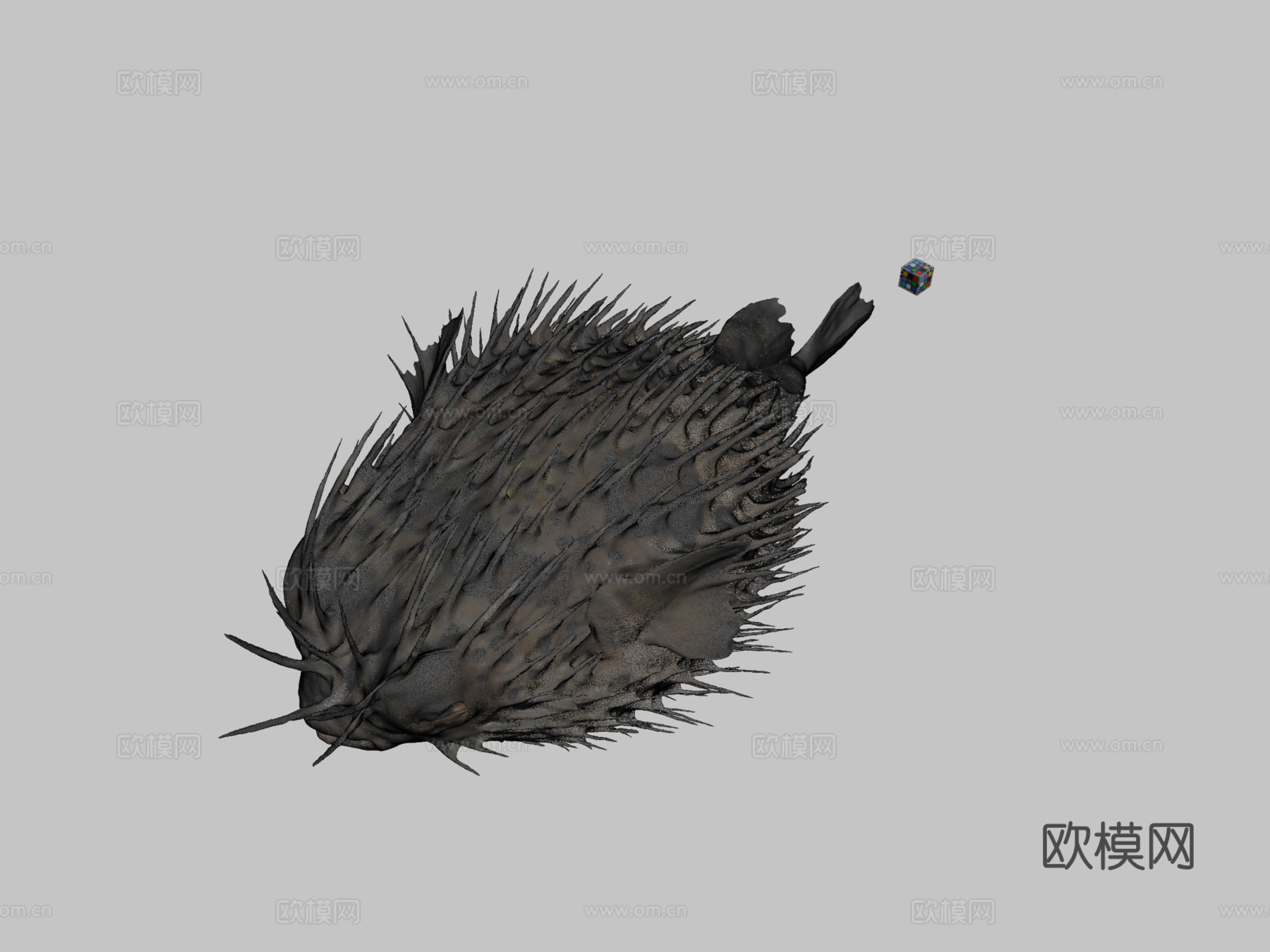 CC0刺鲀?充气球鱼3d模型下载（渲染图2）