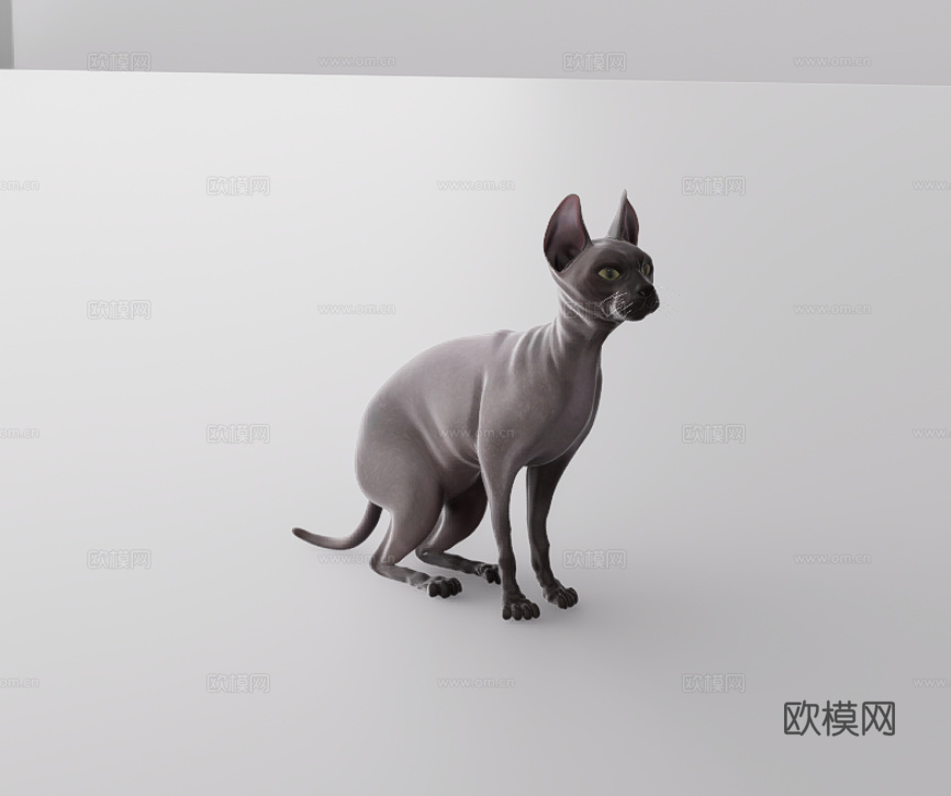 猫su模型