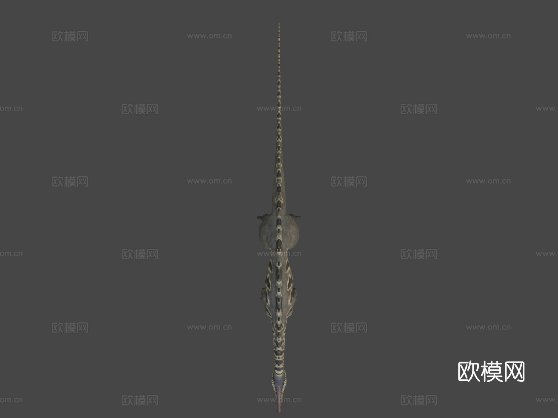 棘龙23d模型下载（渲染图6）
