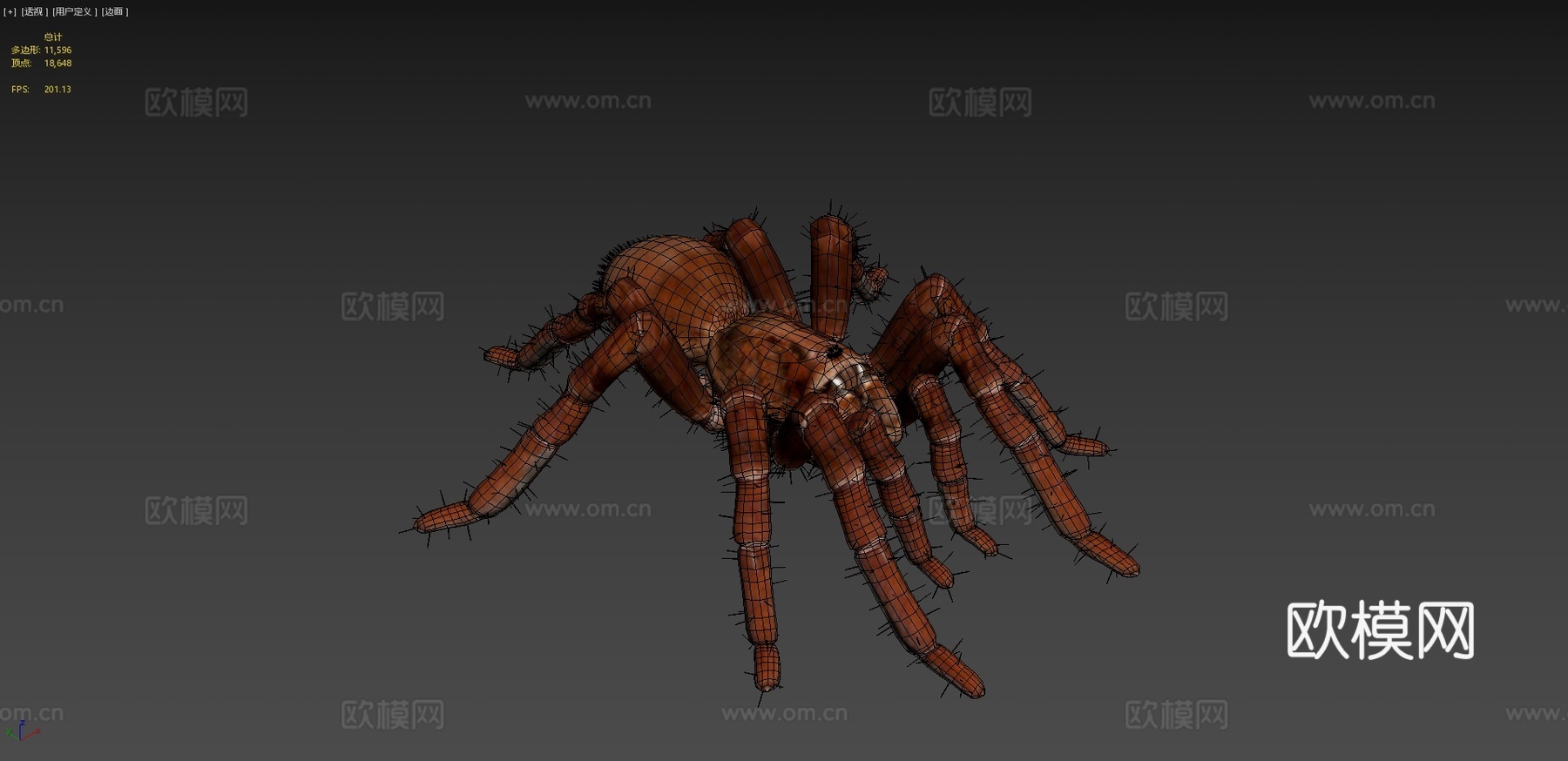 狼蛛巨型蜘蛛3d模型下载（渲染图4）