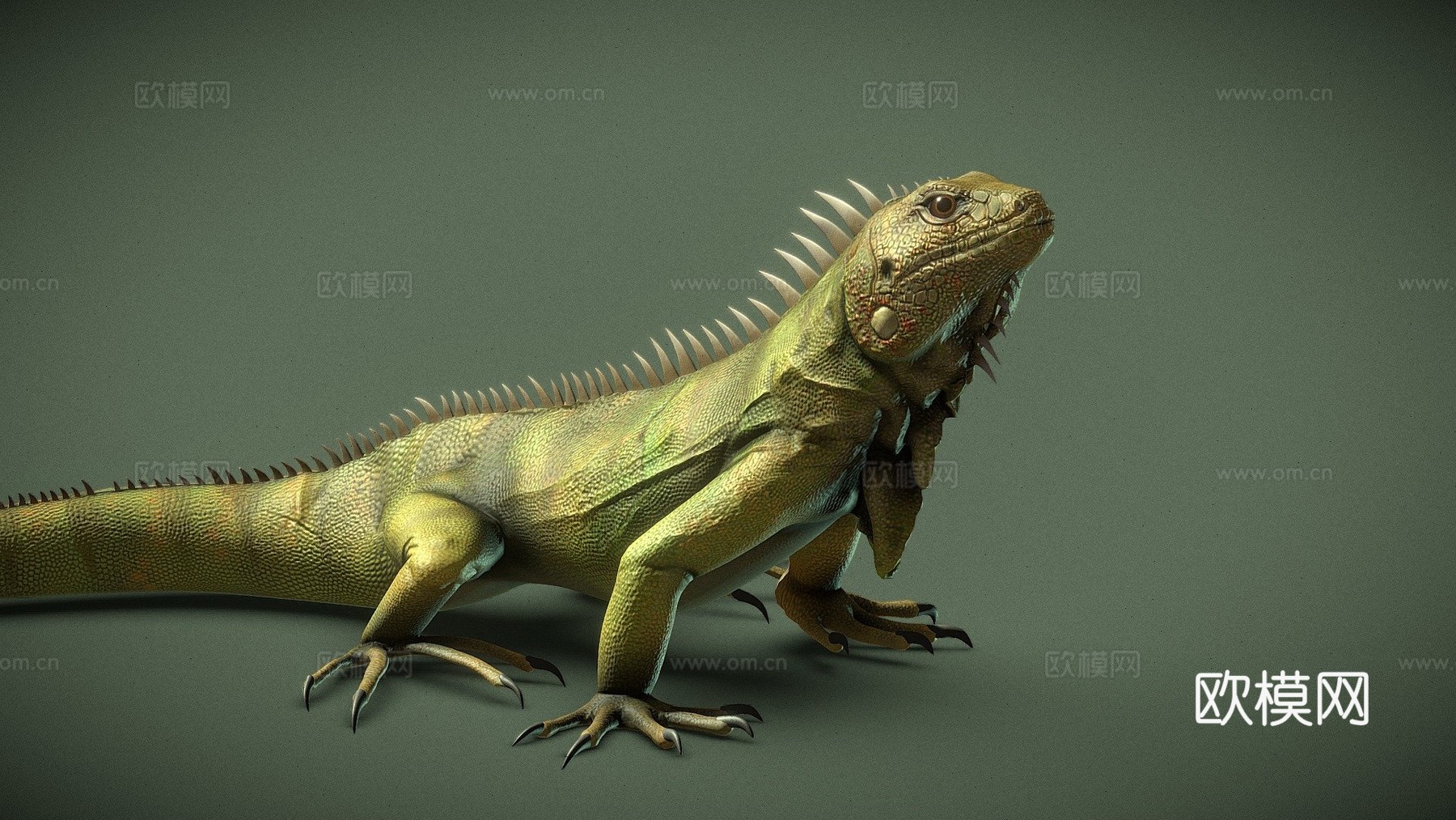 鬣蜥3d模型下载（渲染图1）