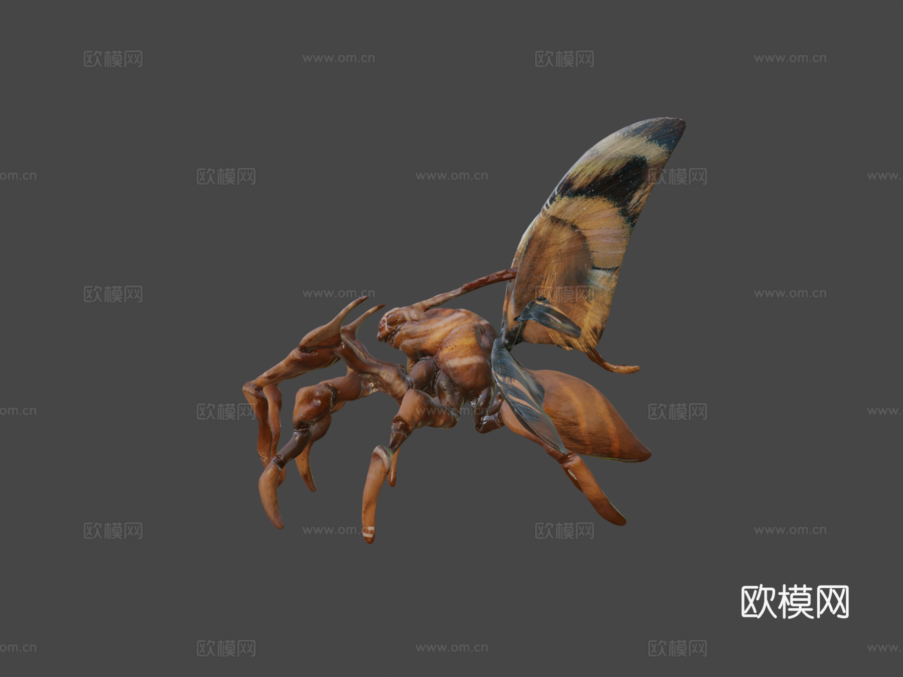 蛾类生物3d模型下载（渲染图8）