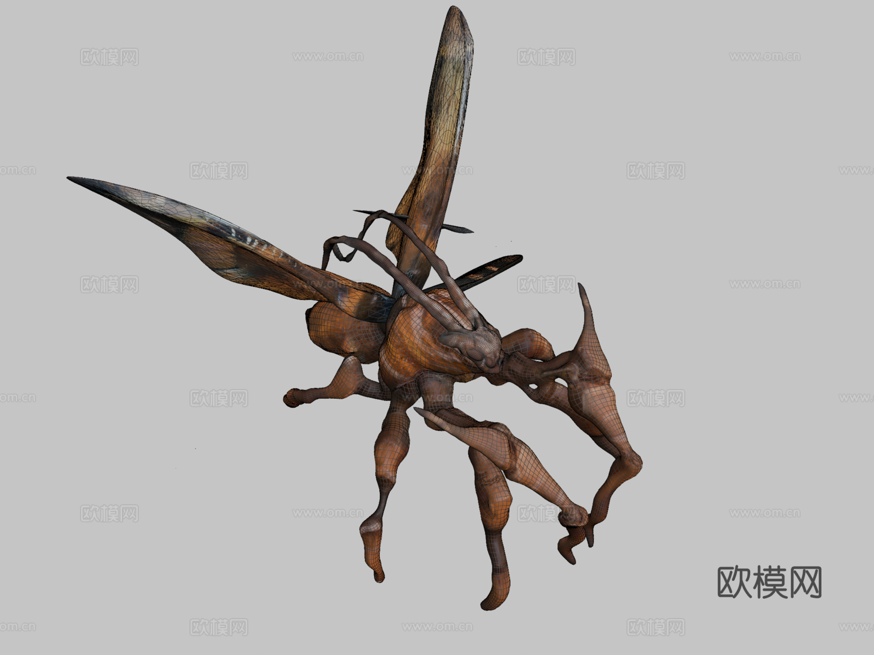 蛾类生物3d模型下载（渲染图2）