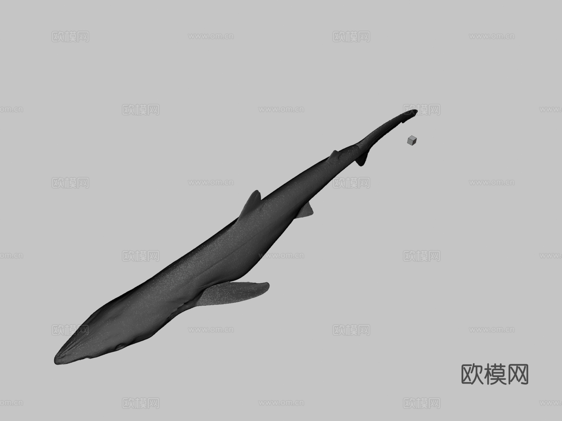 CC0蓝鲨♀3d模型下载（渲染图3）