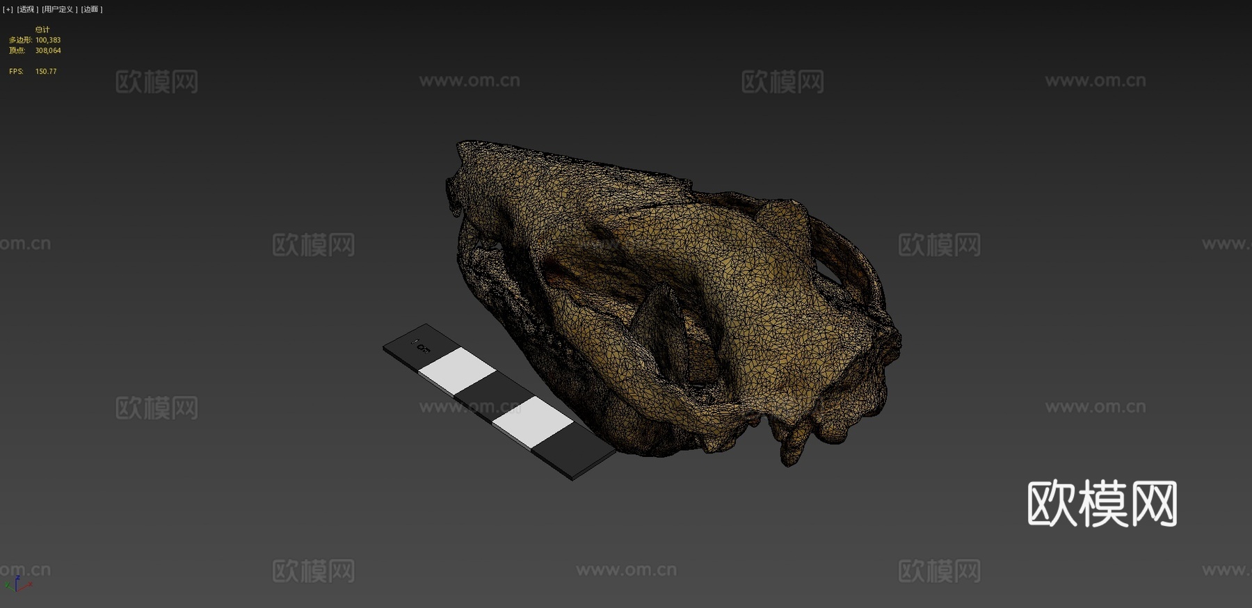 负鼠头骨3d模型下载（渲染图4）