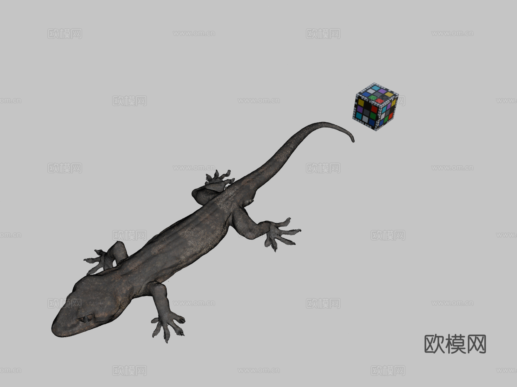 CC0日本壁虎3d模型下载（渲染图2）