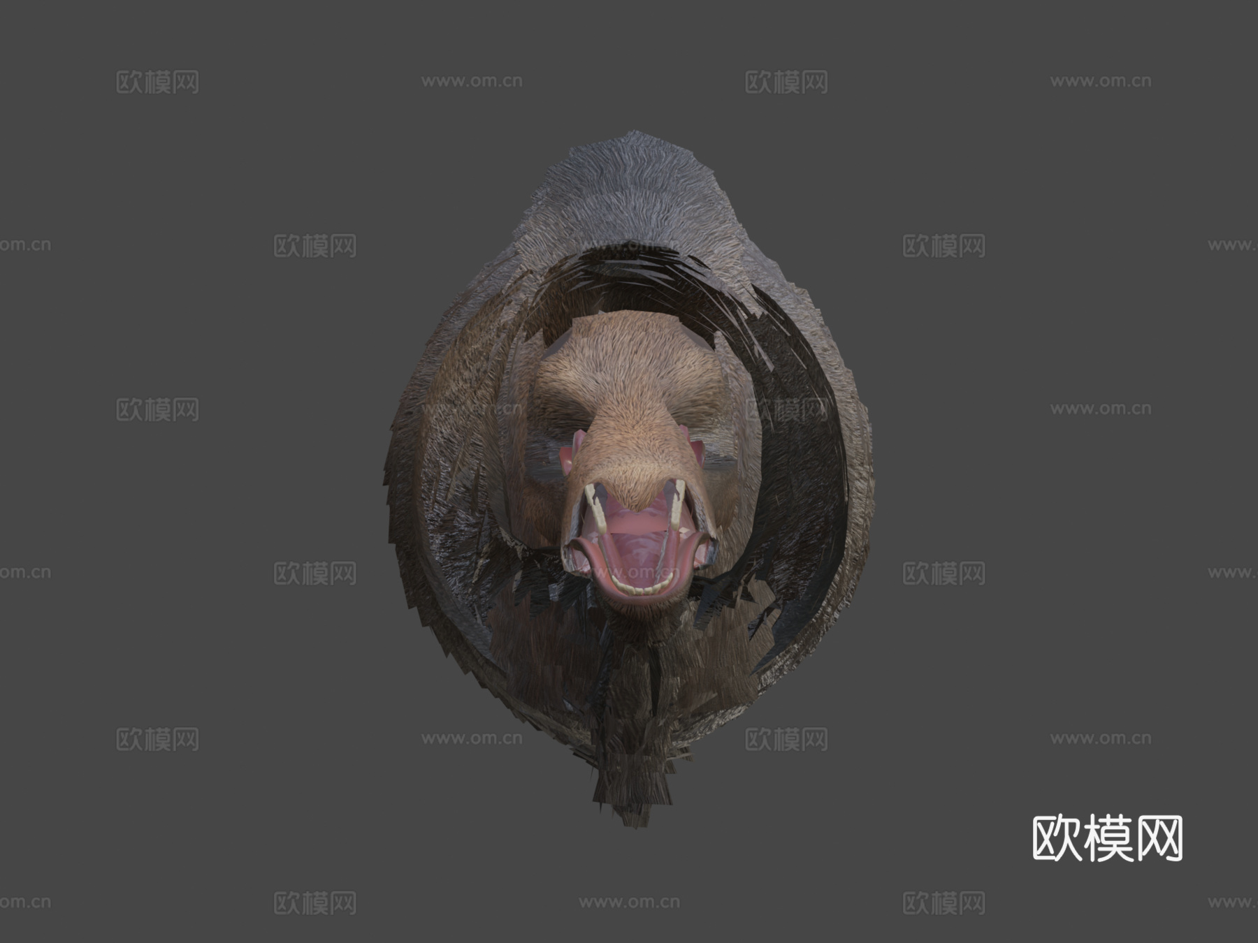 逼真驼鹿3d模型下载（渲染图7）