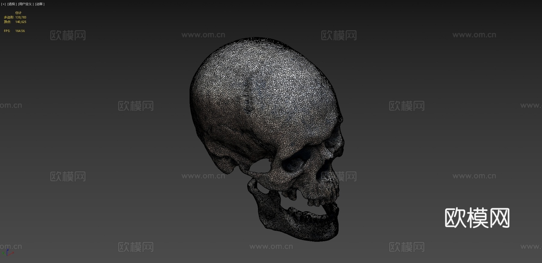 成年头骨3d模型3d模型下载（渲染图4）