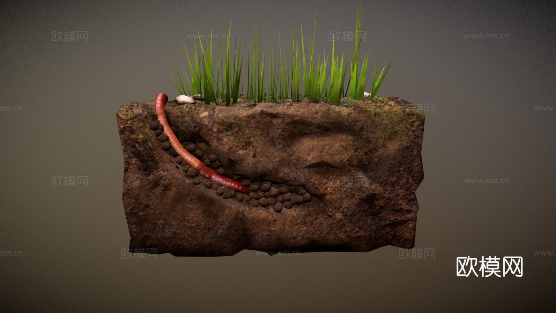 蚯蚓3d模型下载（渲染图1）