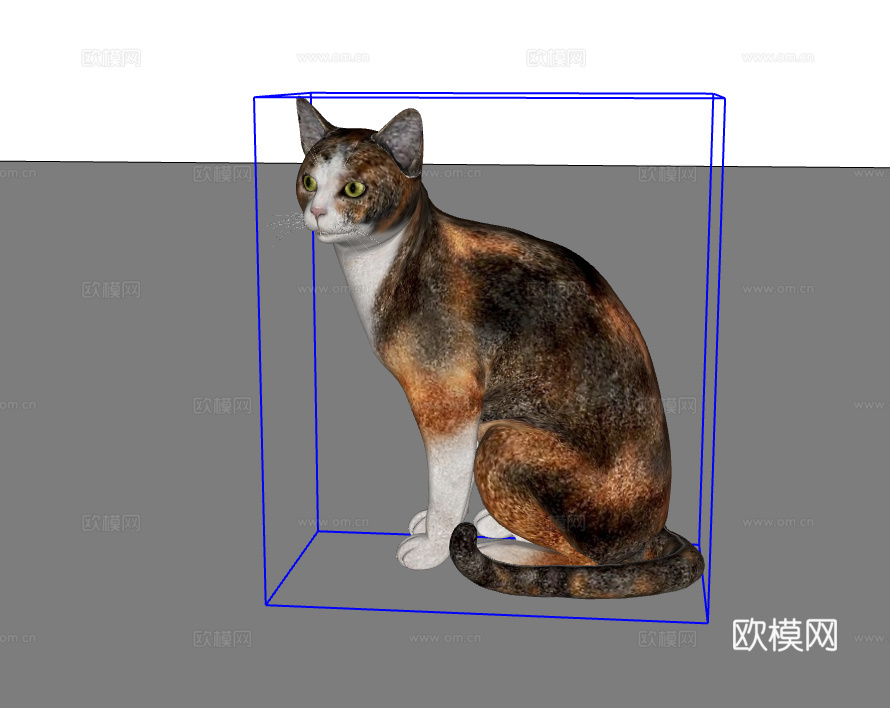 猫su模型