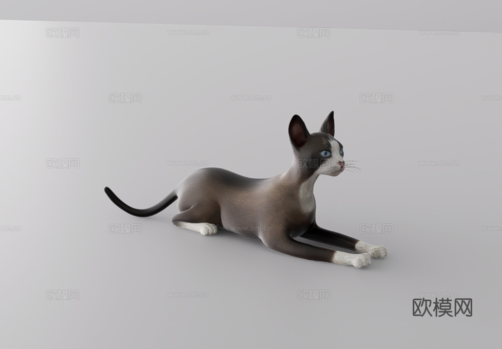 猫su模型