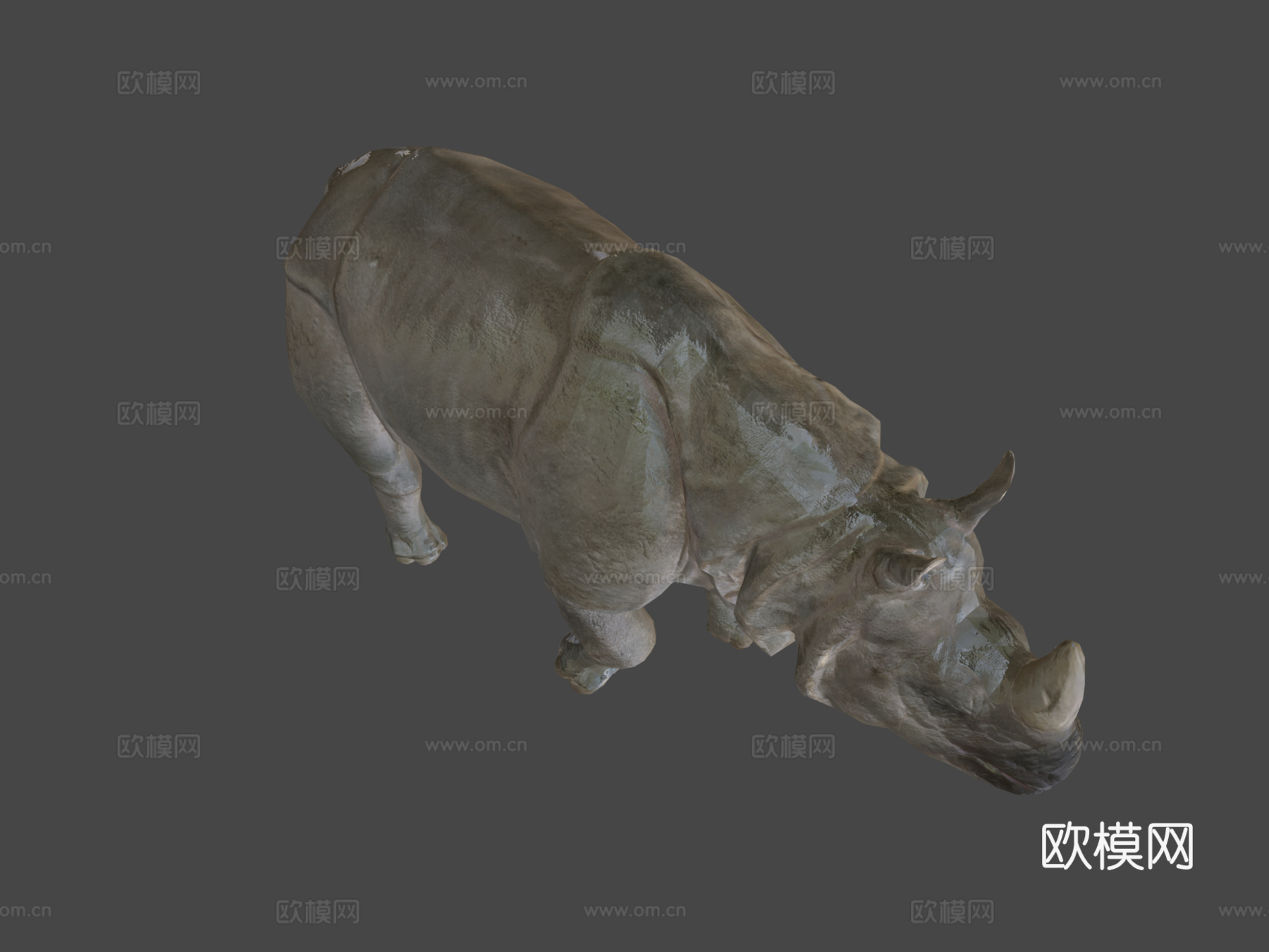 印度犀牛-游戏就绪-3d模型3d模型下载（渲染图7）