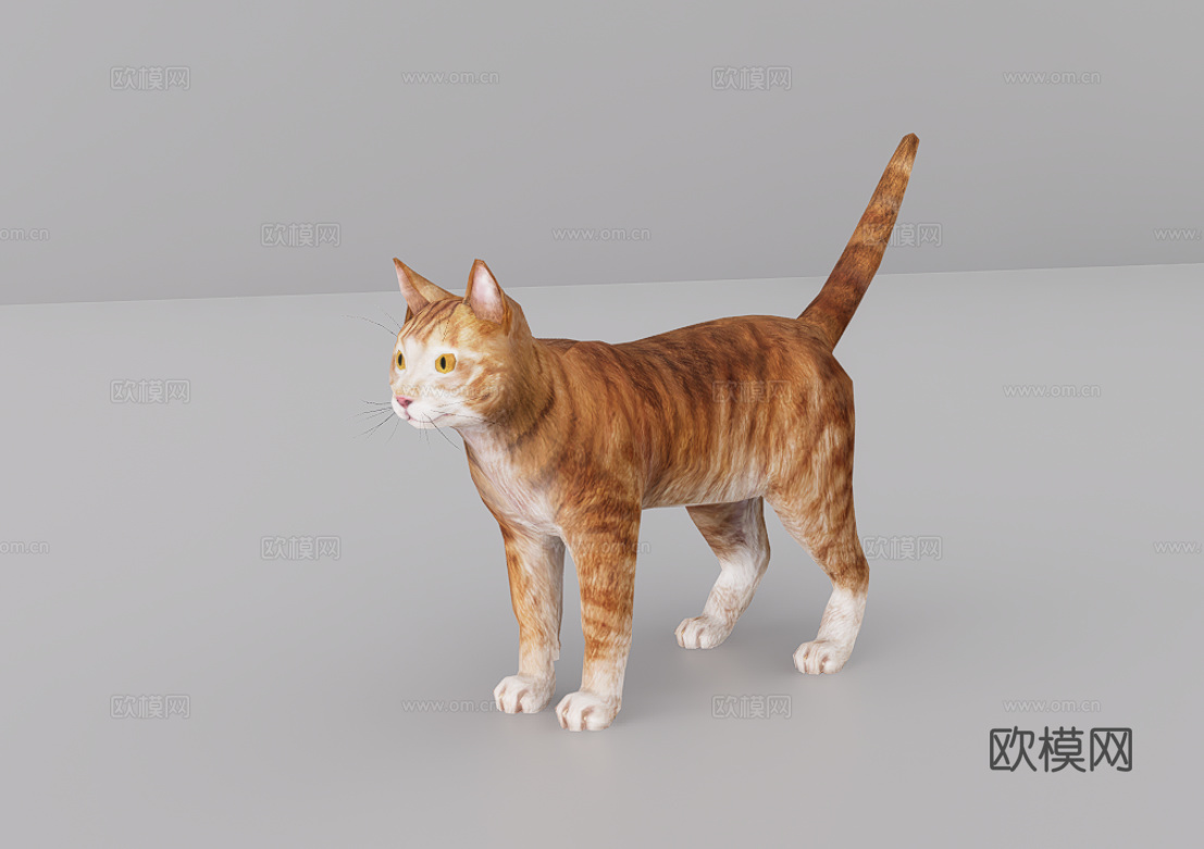 猫su模型