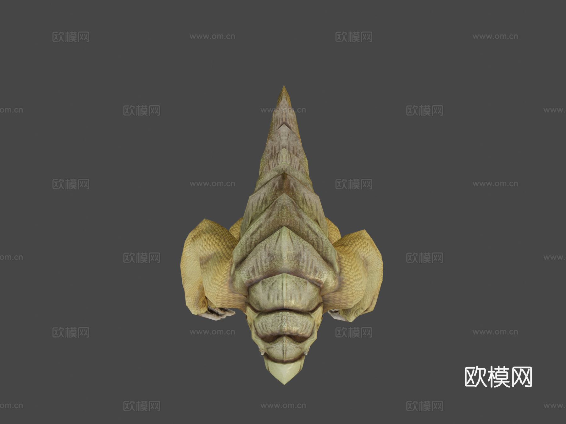 沙漠蜥蜴3d模型下载（渲染图5）