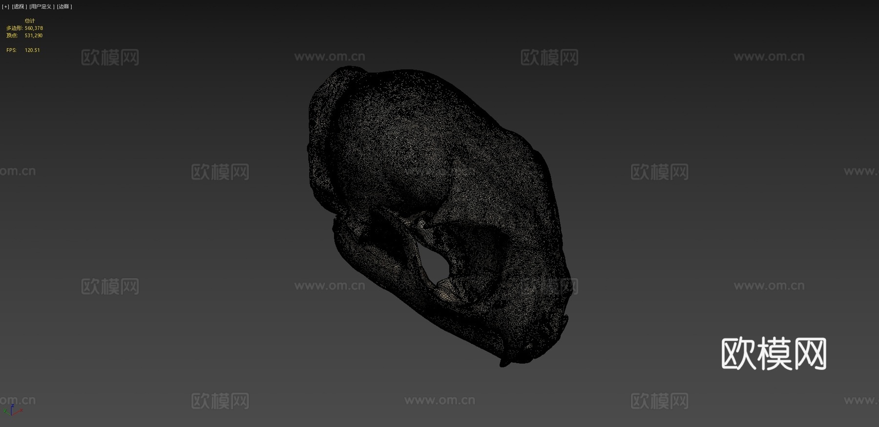 山猫头骨3d模型下载（渲染图4）