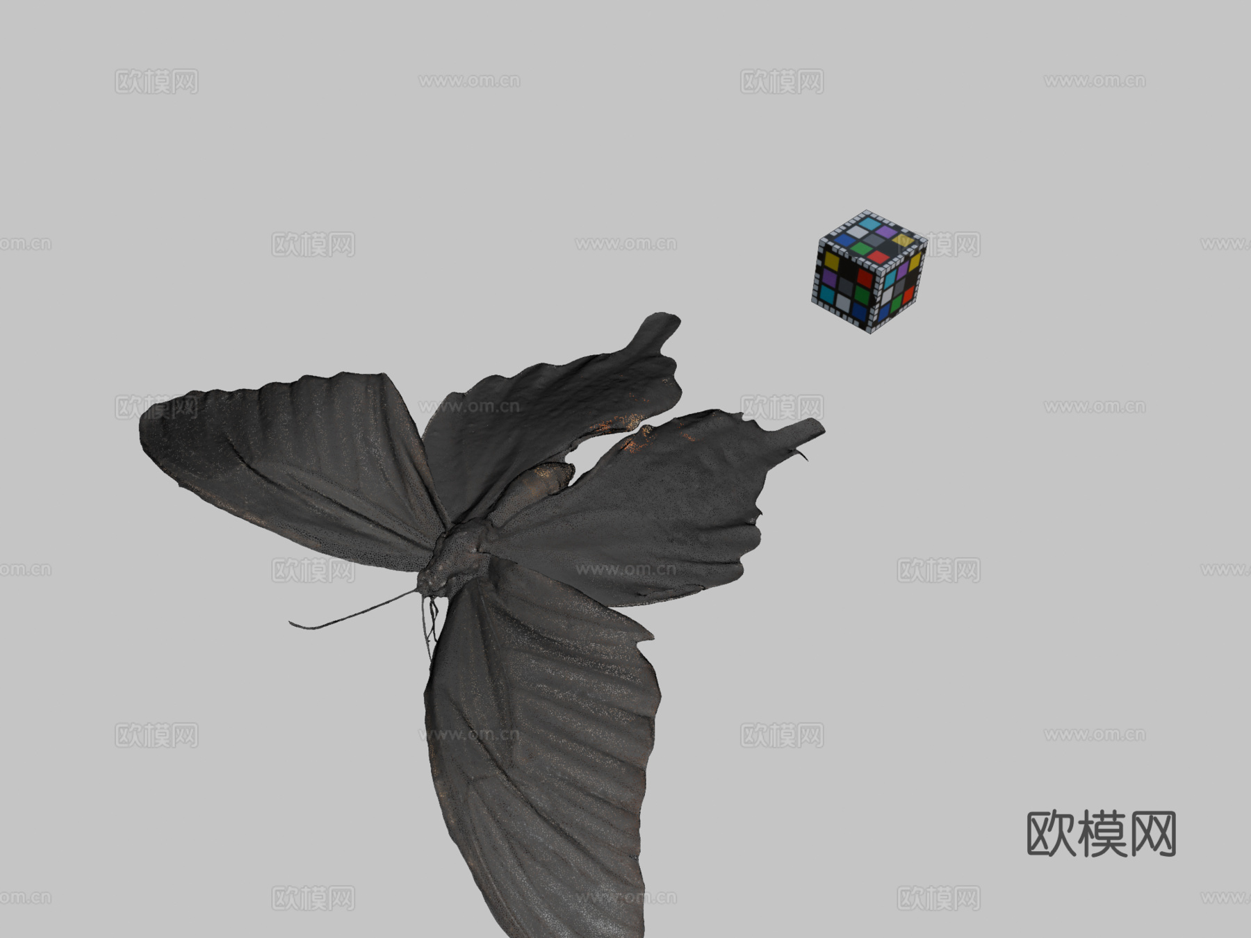 CC0柑橘凤蝶?玉带凤蝶3d模型下载（渲染图2）