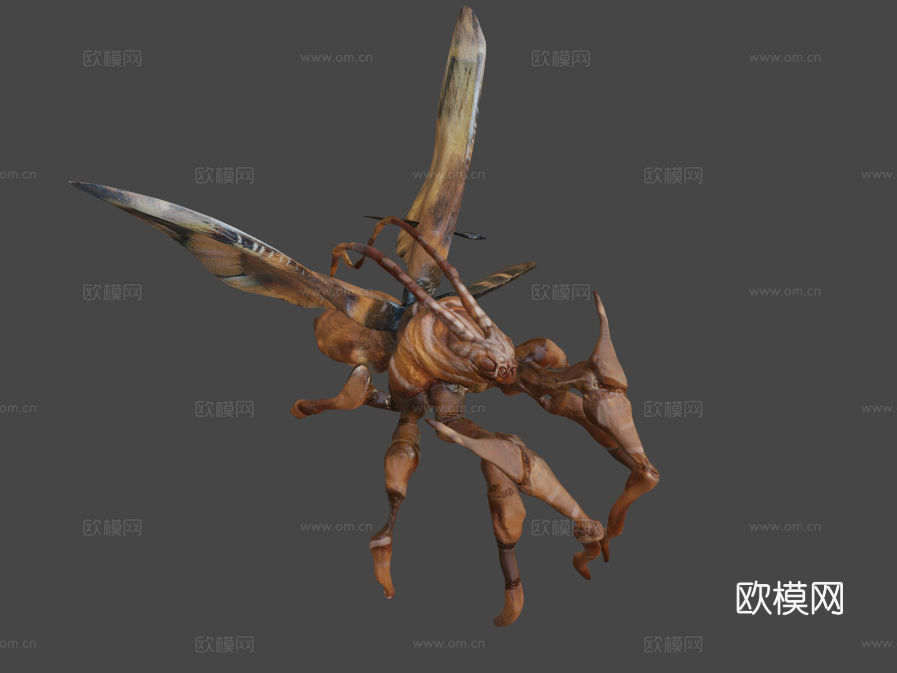蛾类生物3d模型下载（渲染图7）