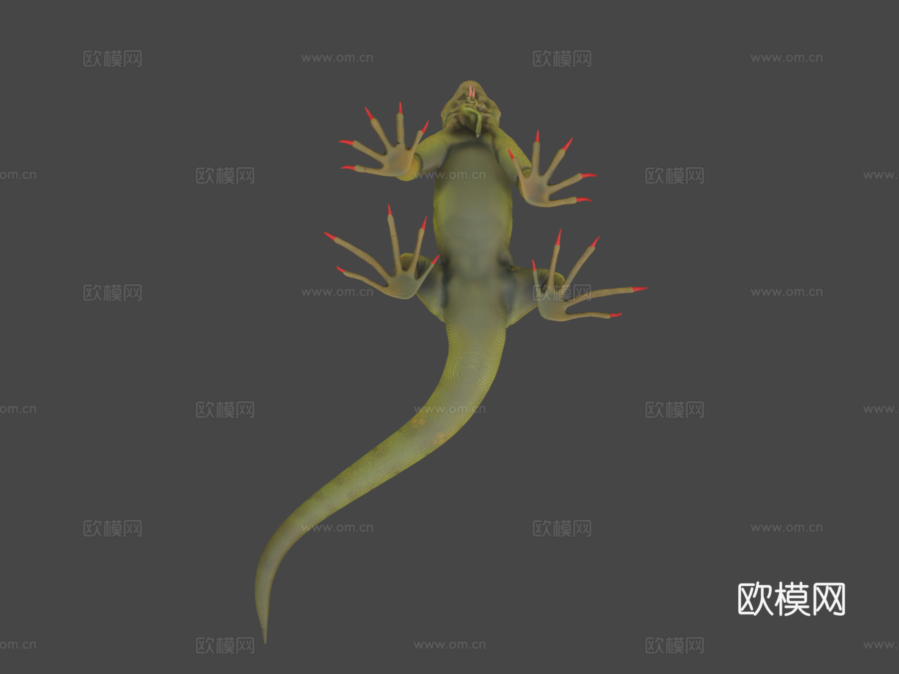 鬣蜥3d模型下载（渲染图8）