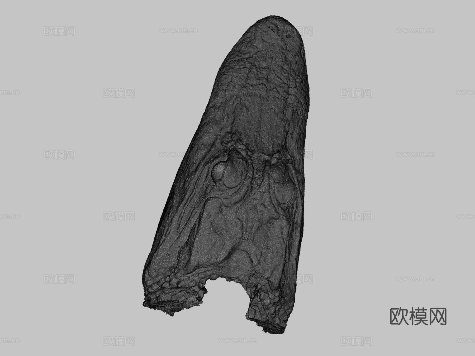 鳄鱼头标本3d模型下载（渲染图3）