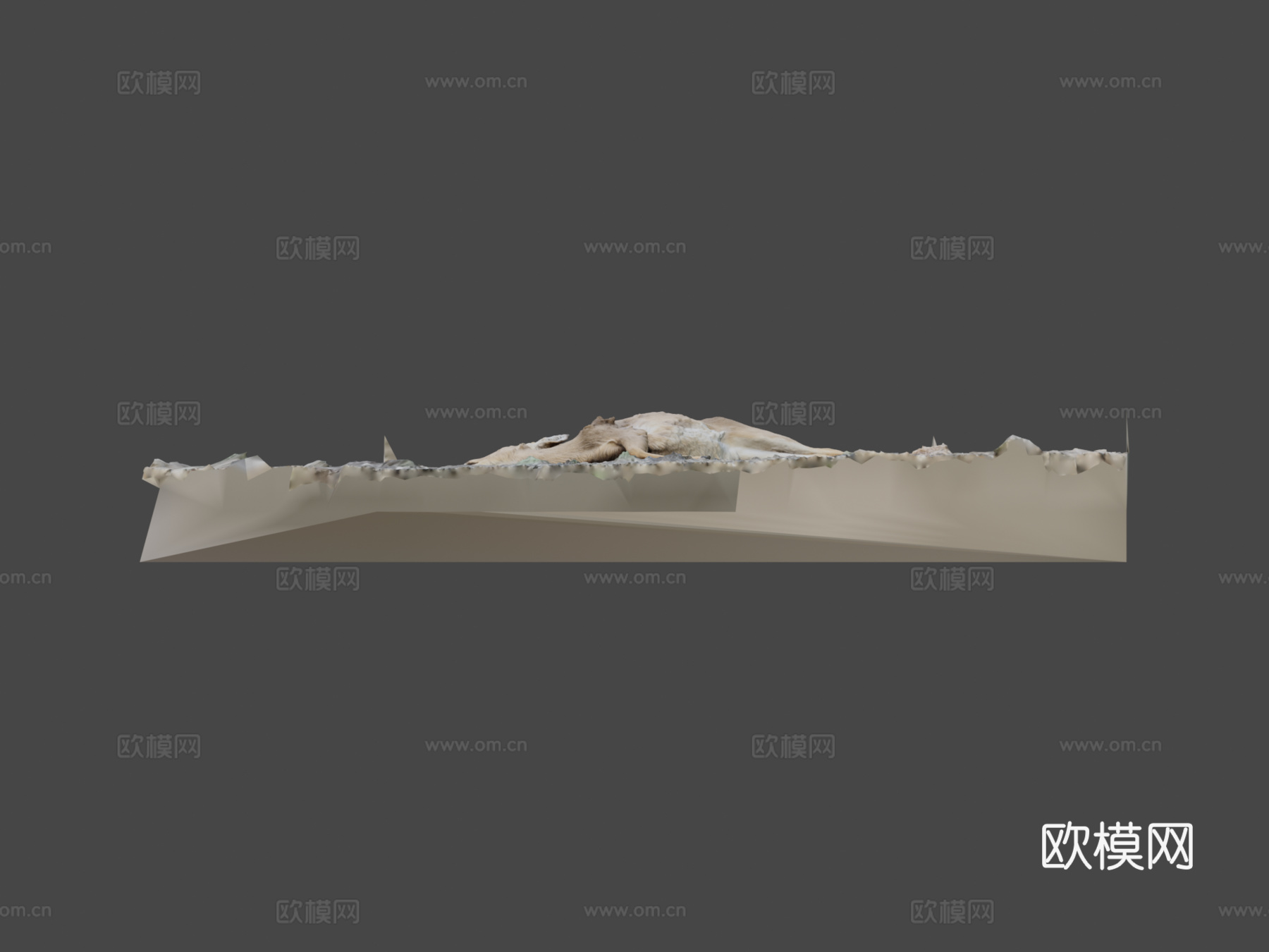 白尾鹿尸体原始扫描3d模型下载（渲染图5）