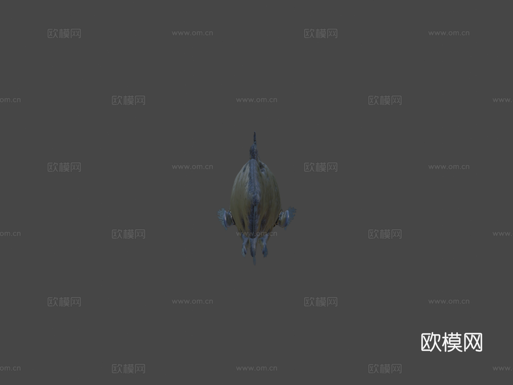 腔棘鱼3d模型下载（渲染图5）