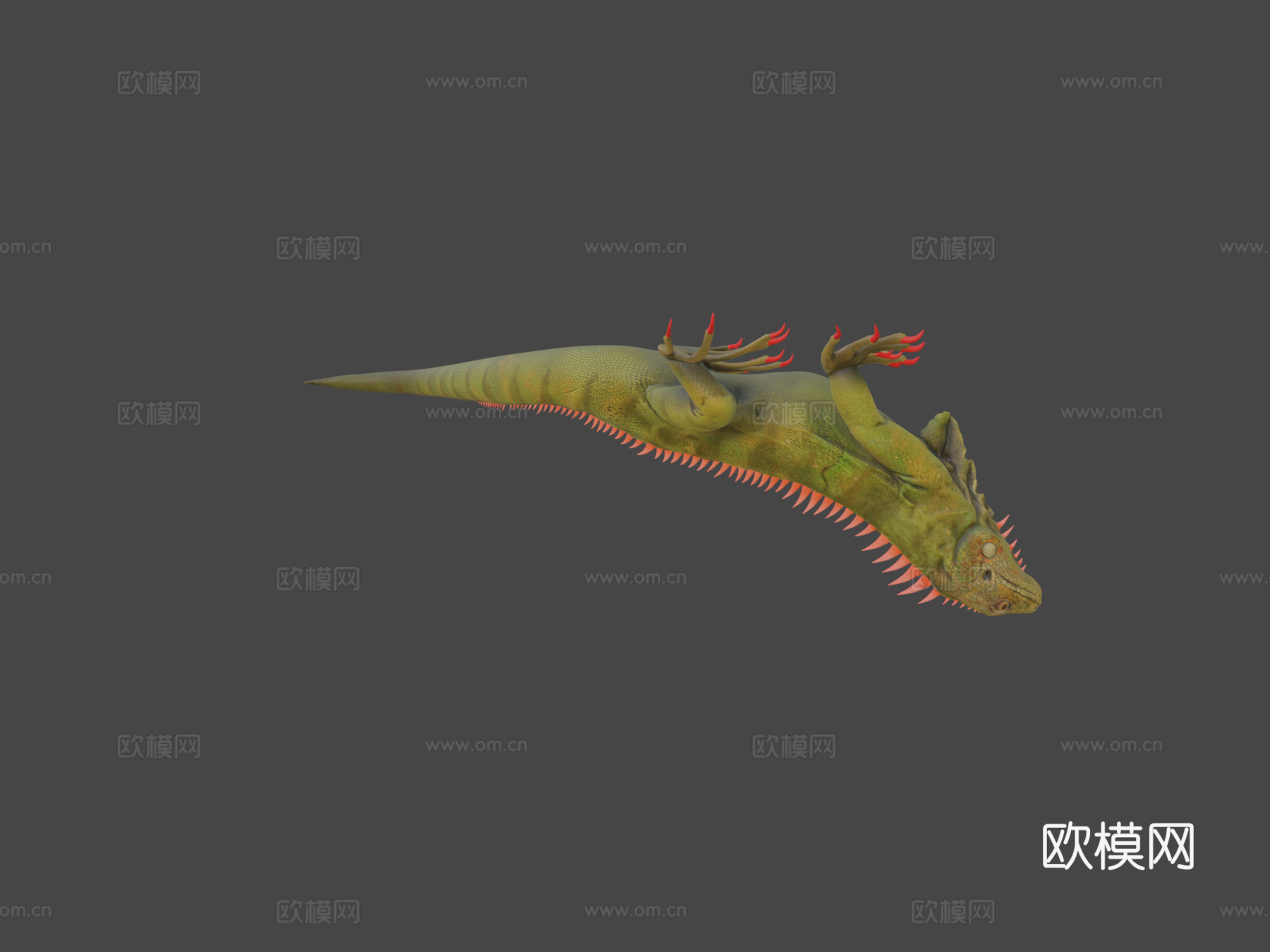 鬣蜥3d模型下载（渲染图6）