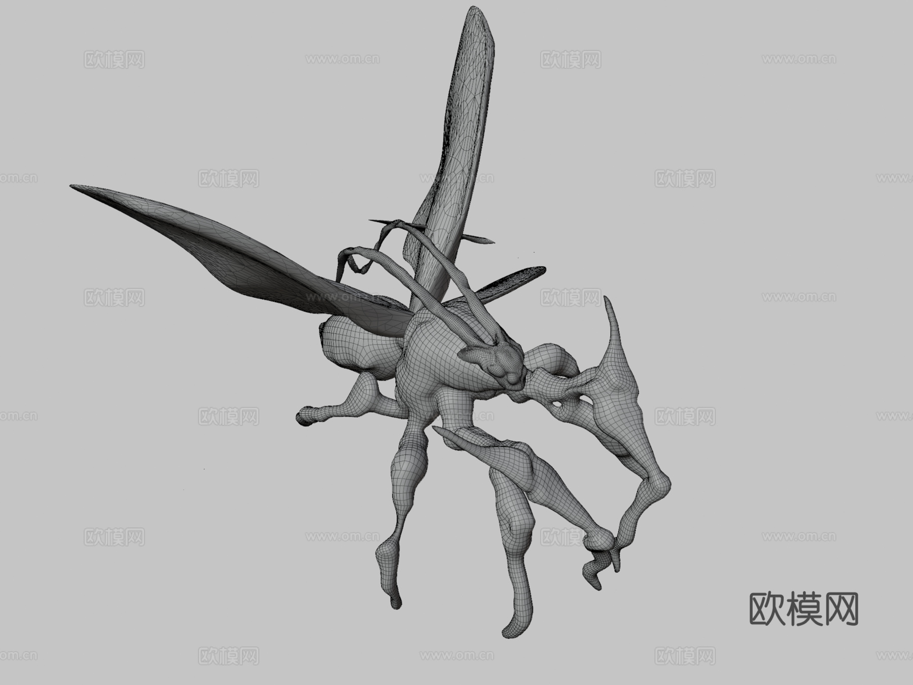 蛾类生物3d模型下载（渲染图3）