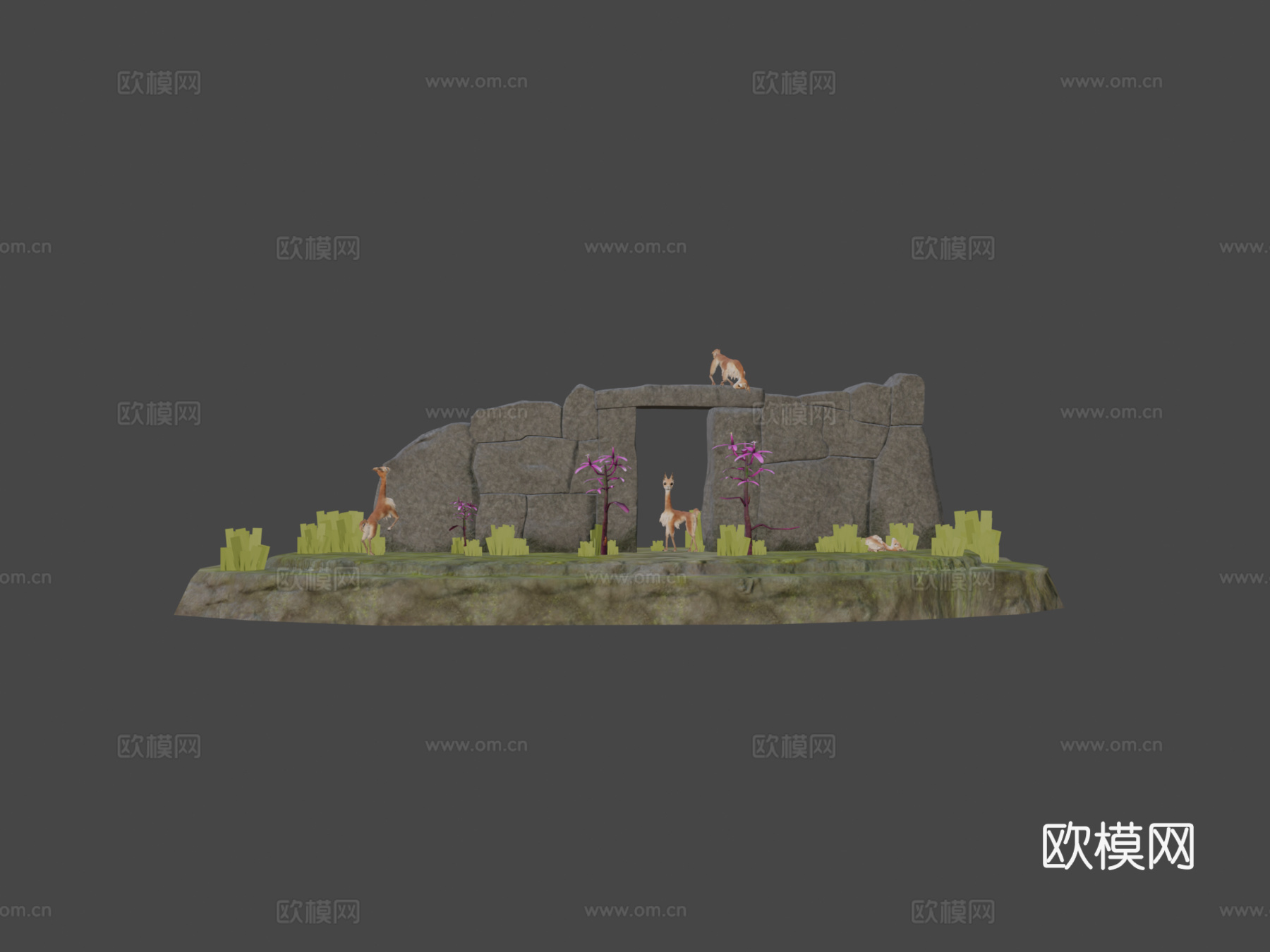 秘鲁骆马3d模型下载（渲染图6）