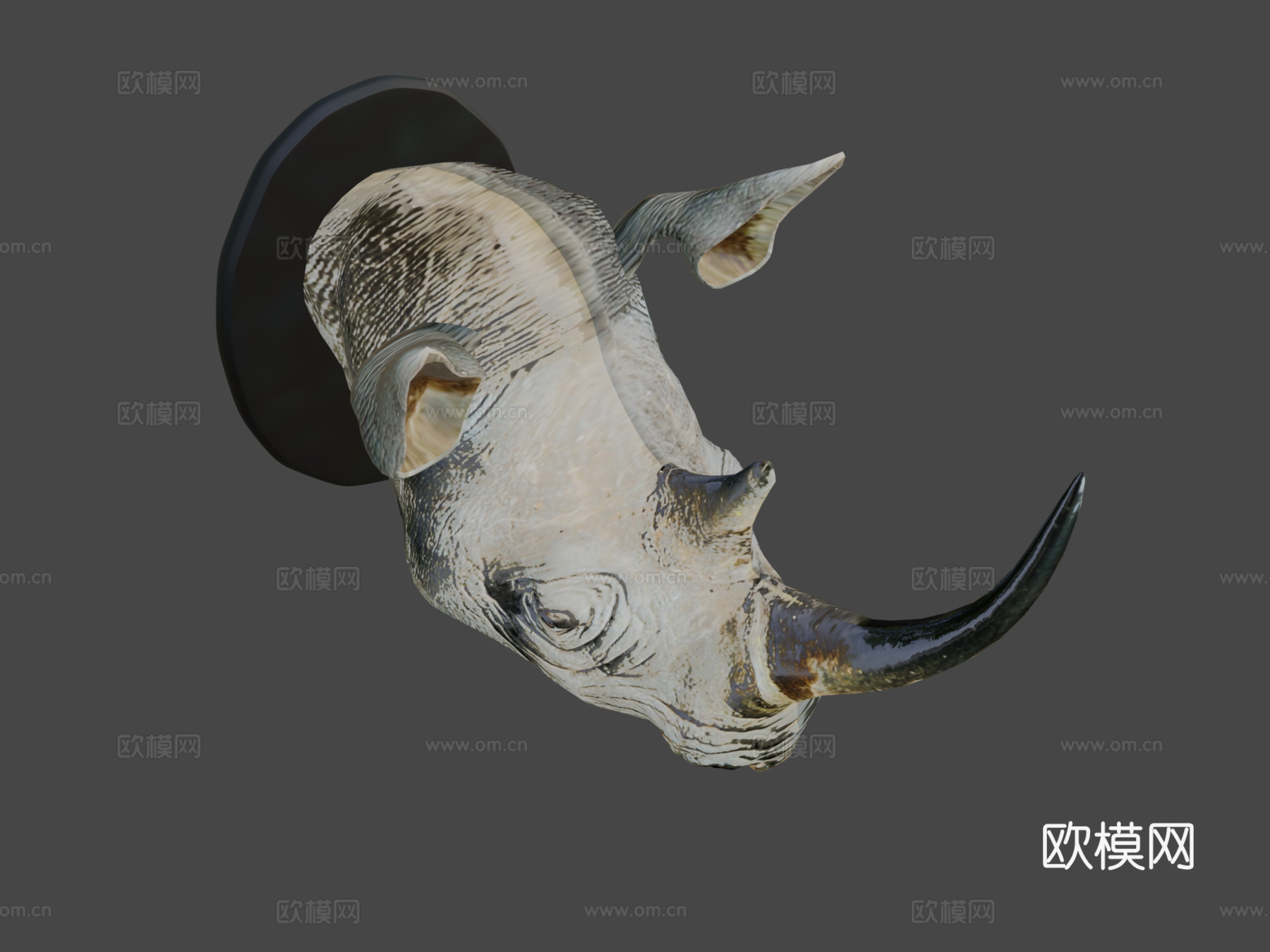 犀牛头部3d模型下载（渲染图8）