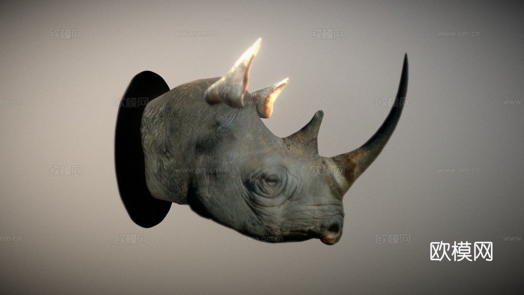 犀牛头部3d模型下载（渲染图1）