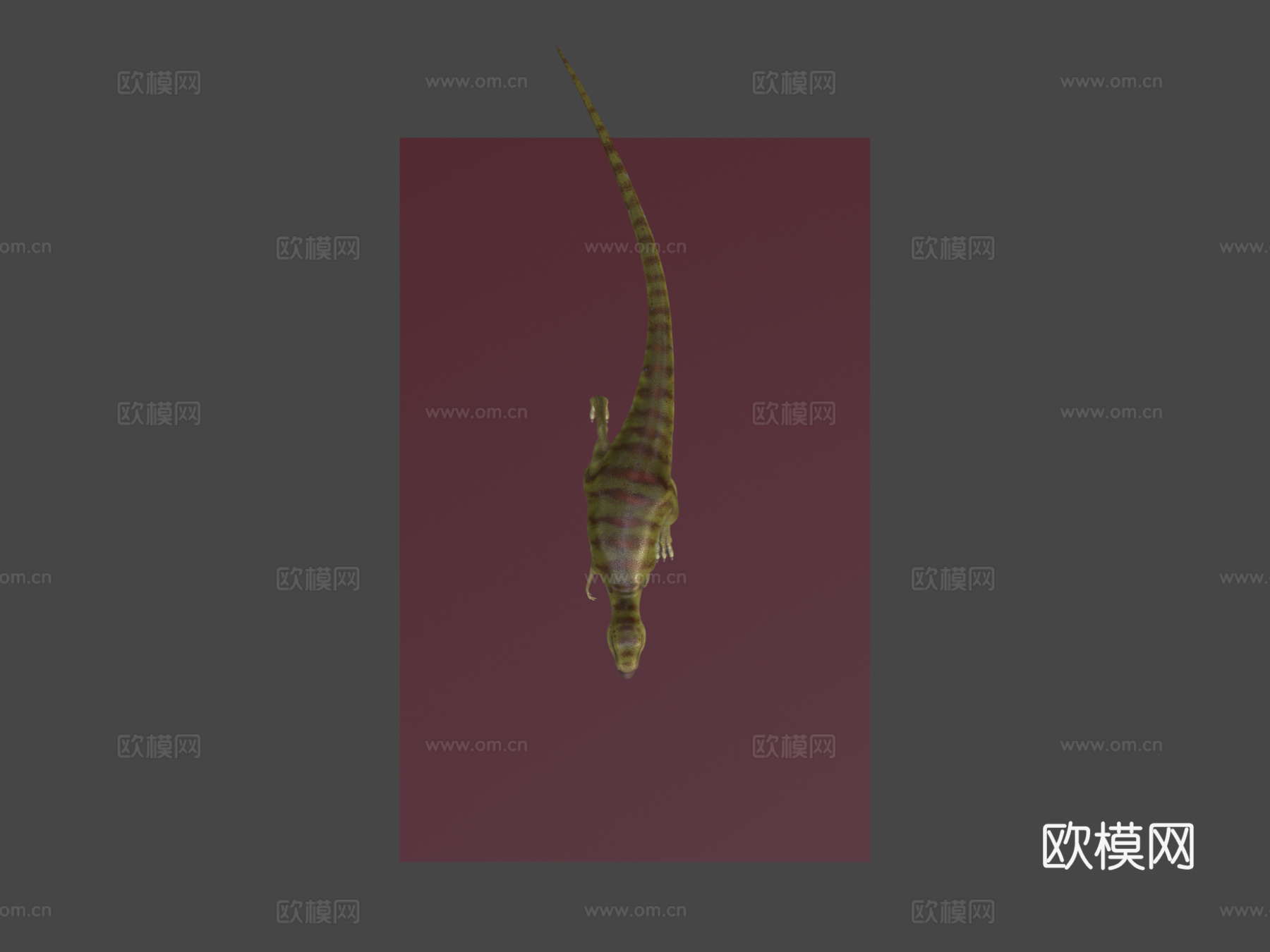 恐龙-利艾林纳龙-行走动画3d模型下载（渲染图7）